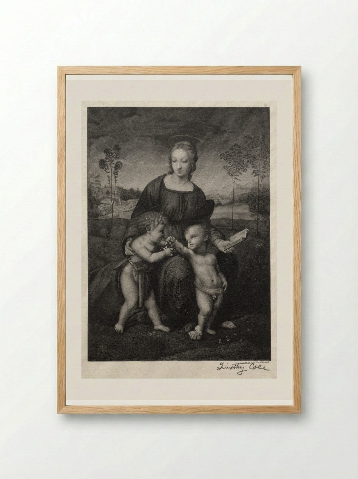 Madonna of the Goldfinch - Timothy Cole - Framed Print Wood
