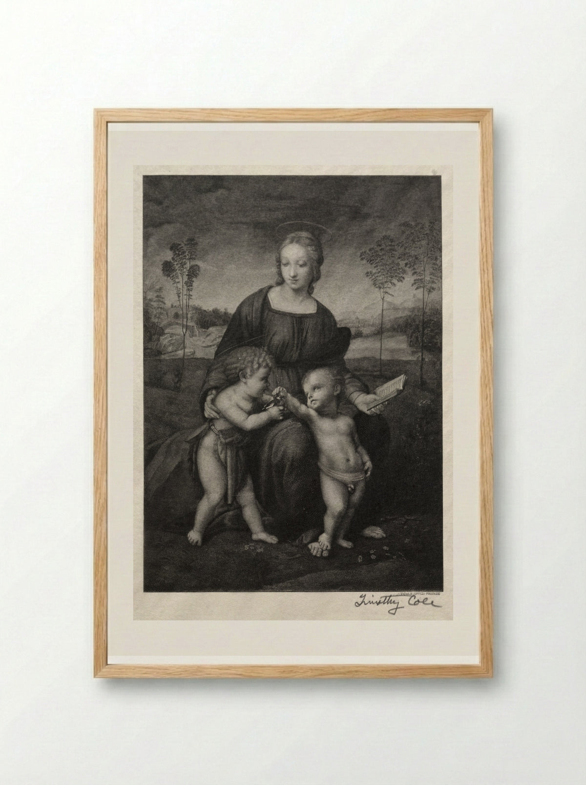 Madonna of the Goldfinch - Timothy Cole - Framed Print Wood