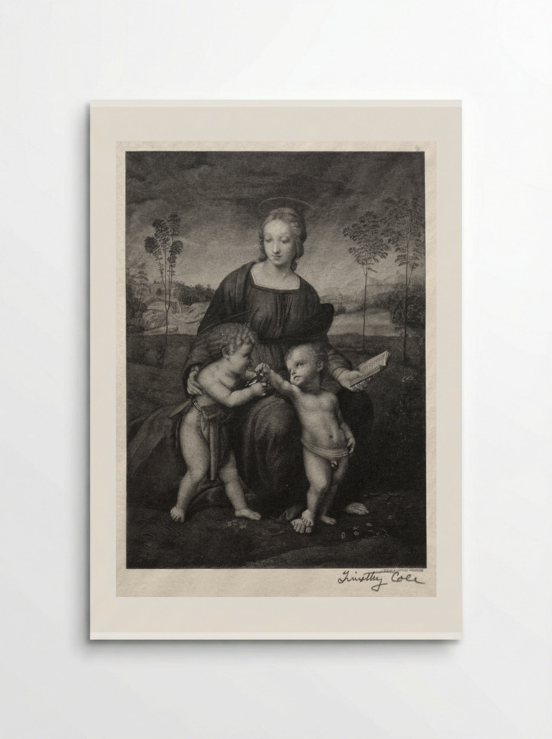 Madonna of the Goldfinch - Timothy Cole - Poster