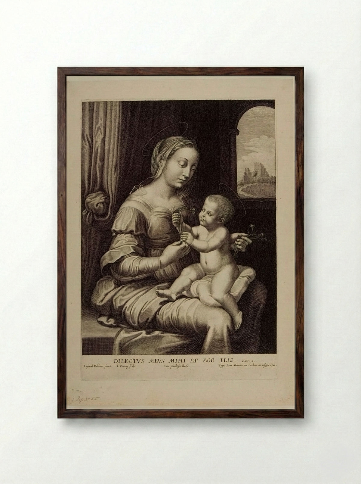 Madonna with the Pink - Jean Couvay - Framed Print Dark Wood