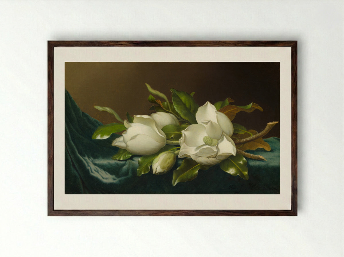 Magnolias on Light Blue Velvet Cloth - Martin Johnson Heade - Framed Print Dark Wood