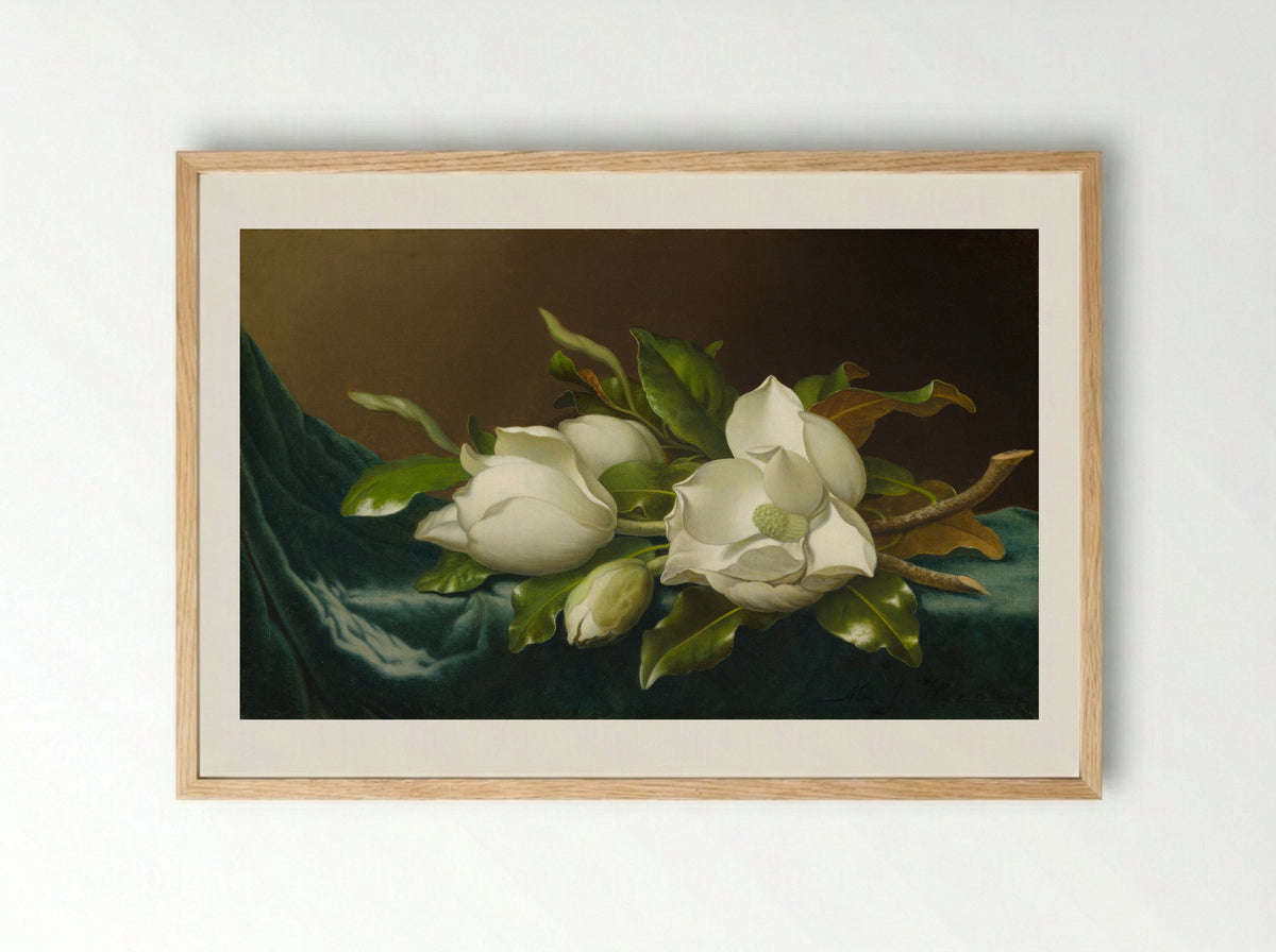 Magnolias on Light Blue Velvet Cloth - Martin Johnson Heade - Framed Print Wood