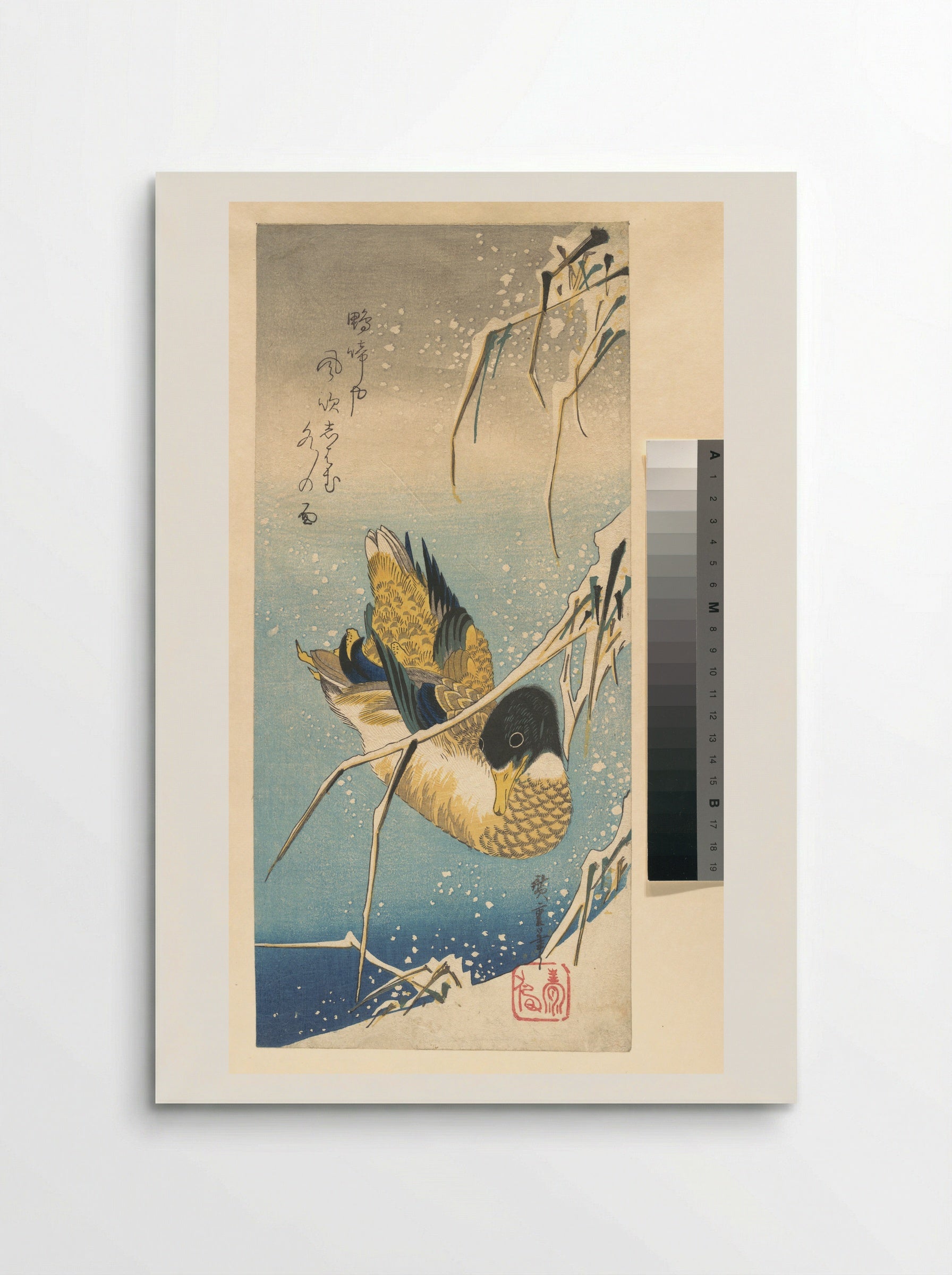Mallard Duck and Snow-covered Reeds - Utagawa Hiroshige - Poster