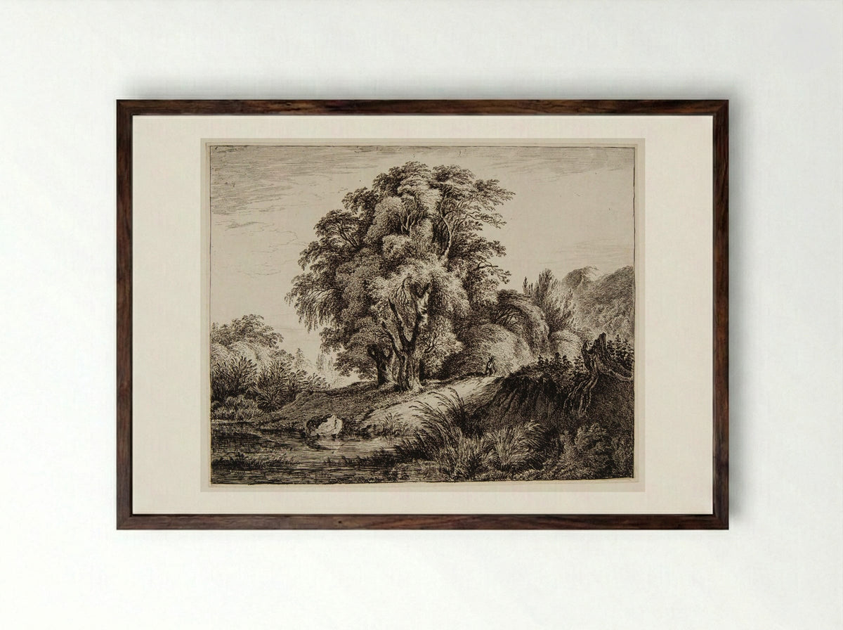 Man Coming Down a Wooded Hill - Franz Rechberger - Framed Print Dark Wood
