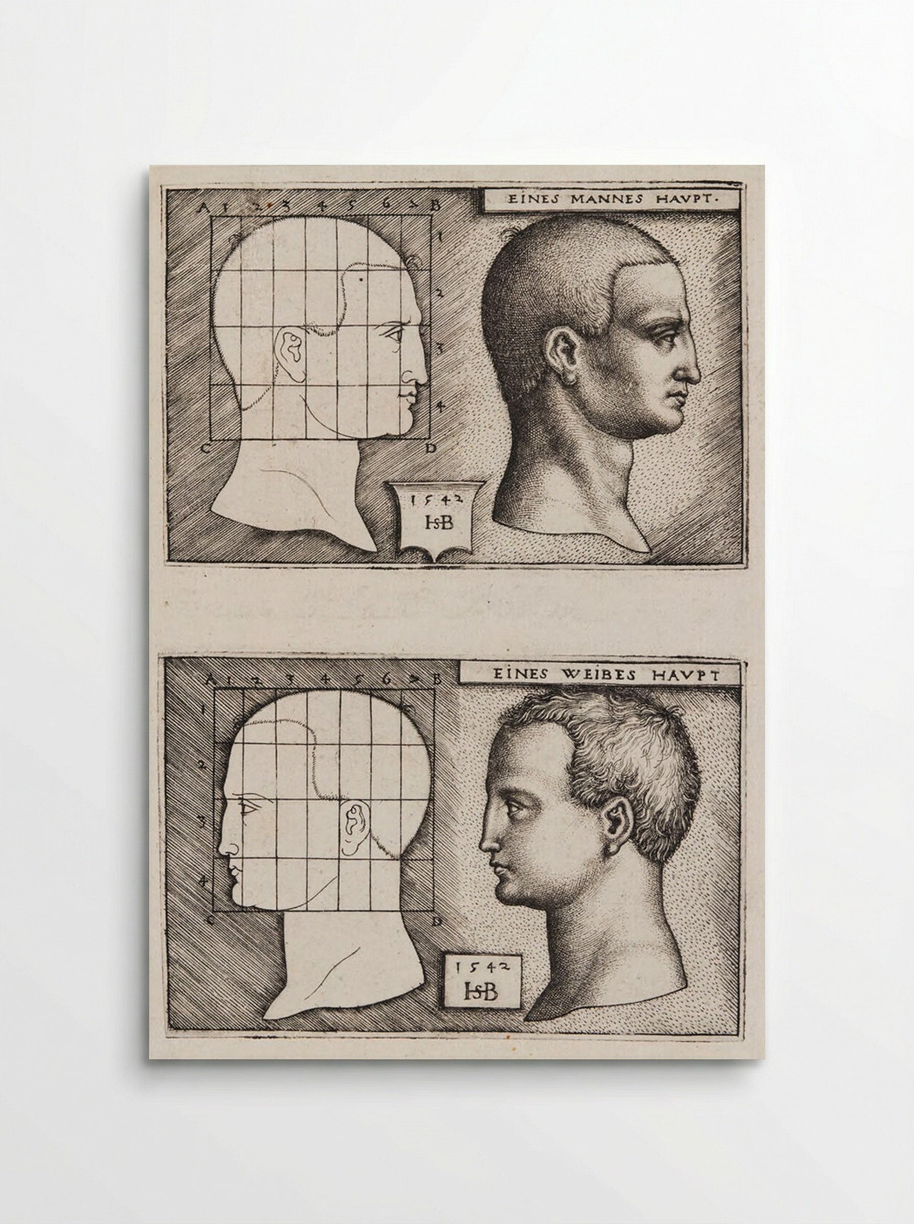 Man’s Head and Woman’s Head - Sebald Beham - Poster