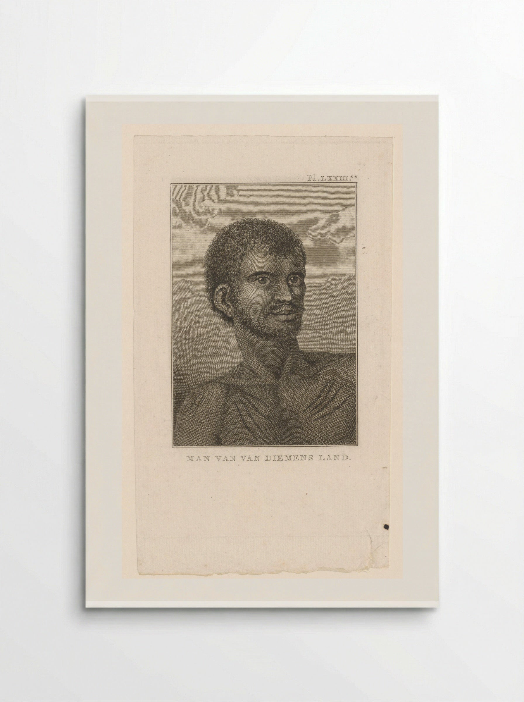 Man van Van Diemens Land - Diverse Vervaardigers - Poster
