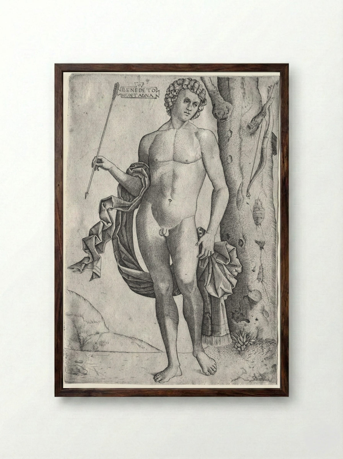 Man with an Arrow - Benedetto Montagna - Framed Print Dark Wood