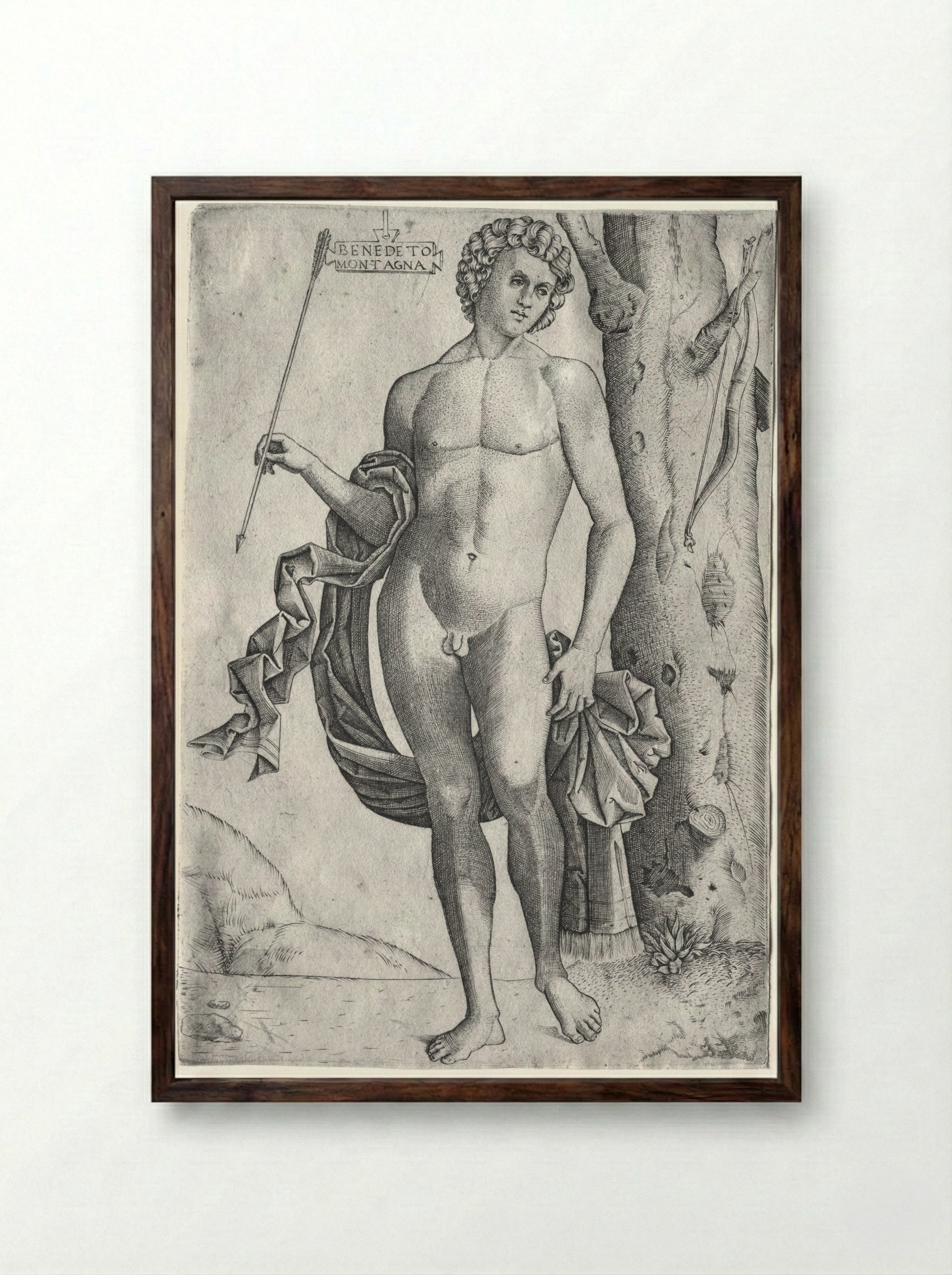 Man with an Arrow - Benedetto Montagna - Framed Print Dark Wood