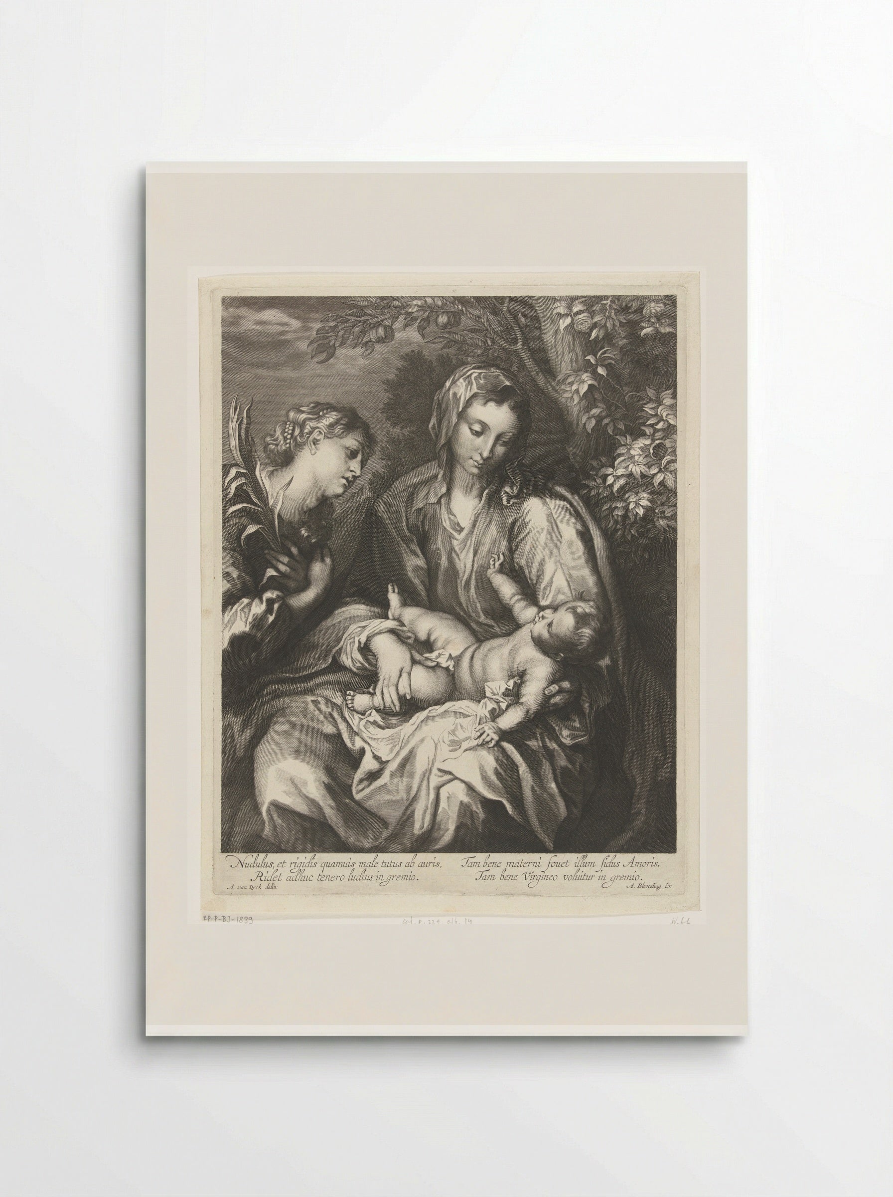 Maria met het Kind en de H. Catharina - Abraham Bloteling - Poster