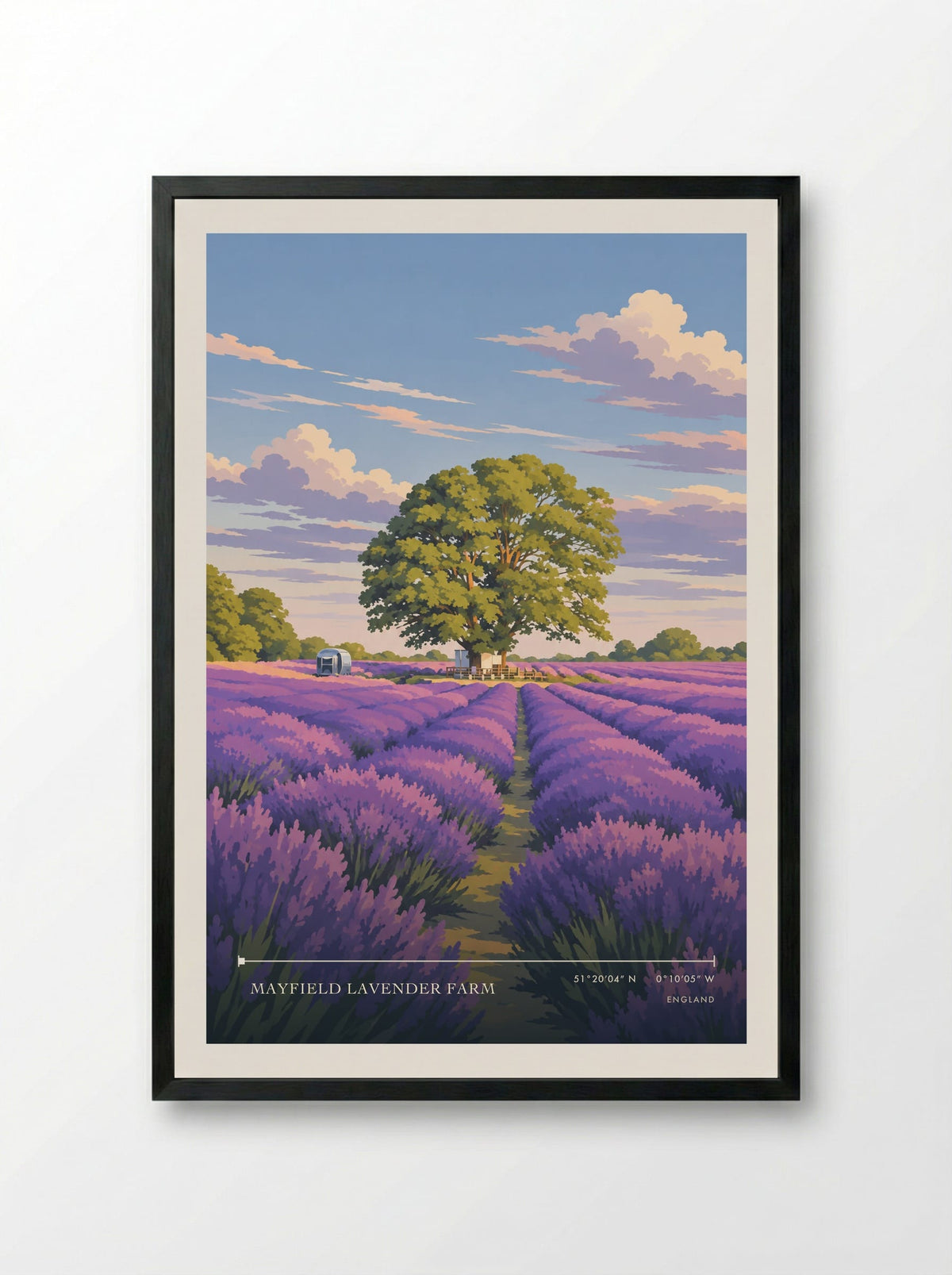 Mayfield Lavender Farm | Travel Poster - Framed Print Black