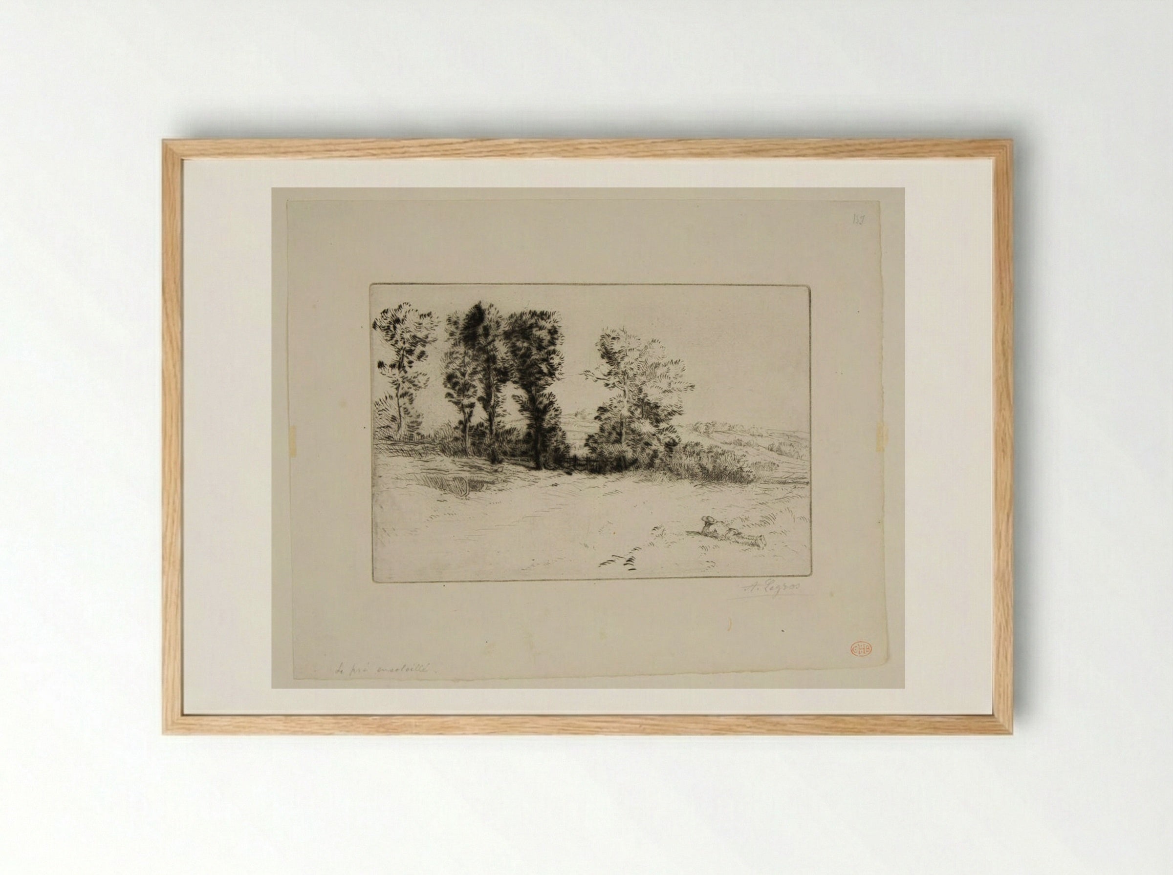 Meadow Bathed in Sunshine - Alphonse Legros - Framed Print Wood