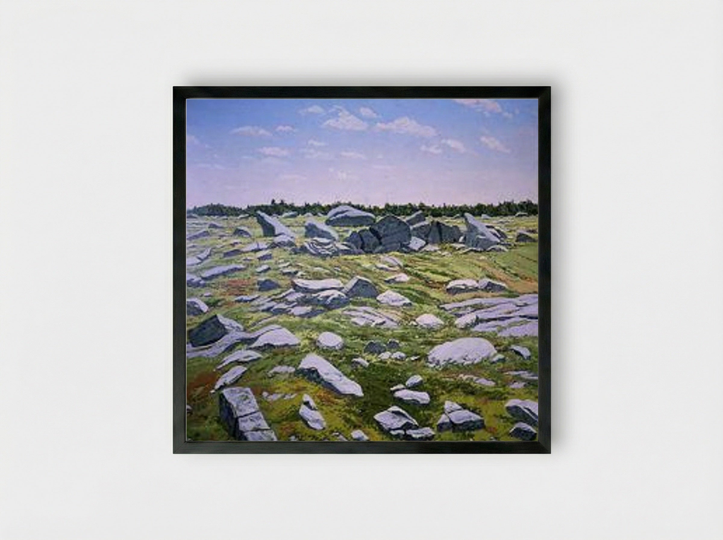 Midday Barren - Neil Welliver - Framed Print Black