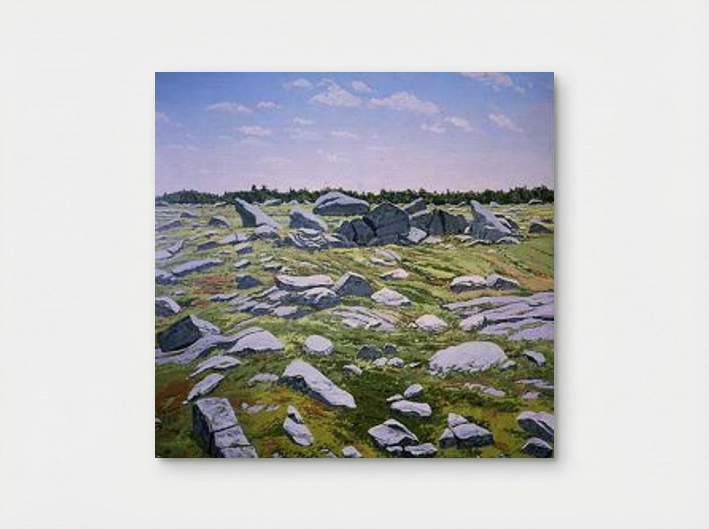Midday Barren - Neil Welliver - Poster