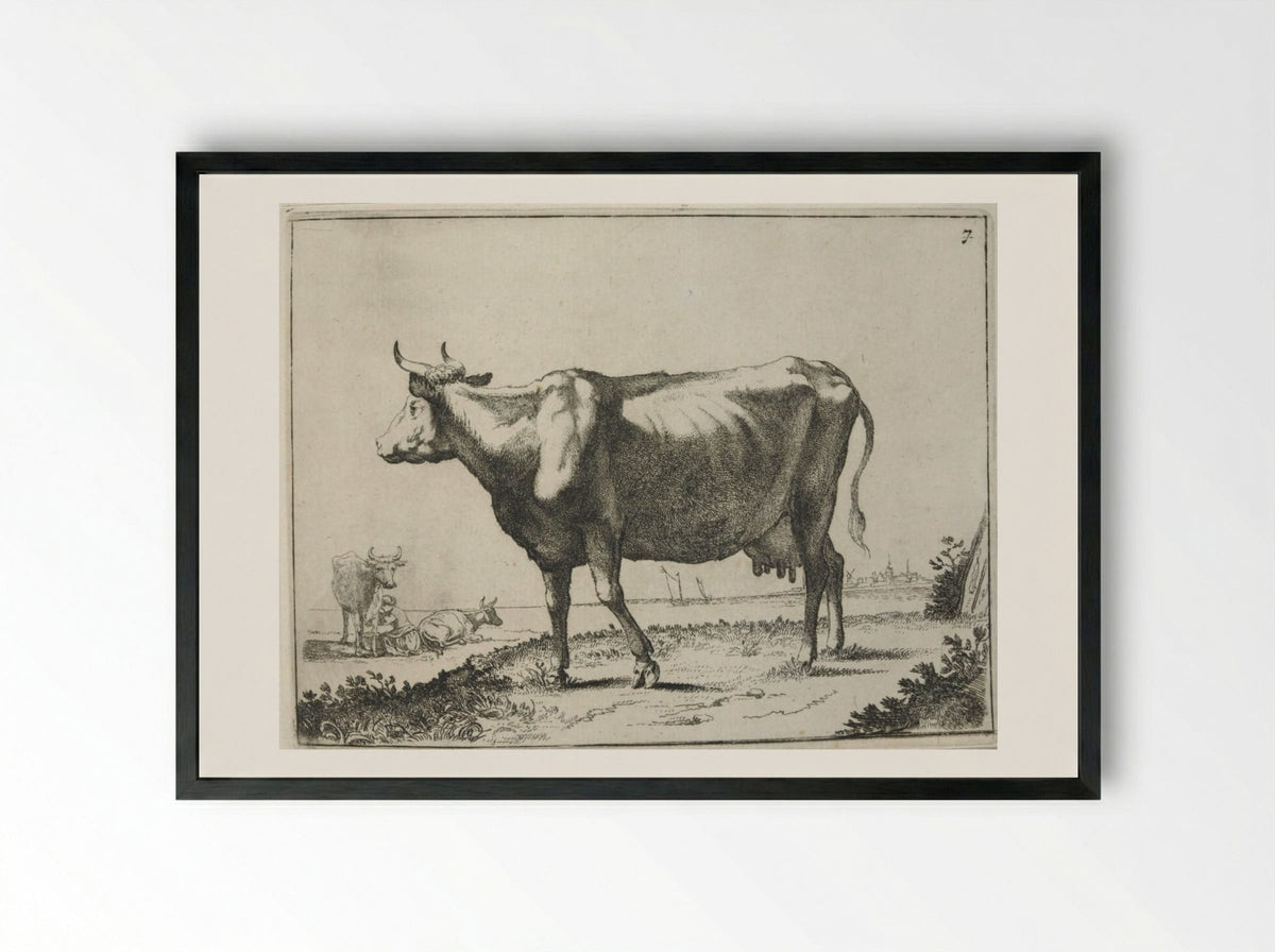 Milk Cow - Paulus Potter - Framed Print Black