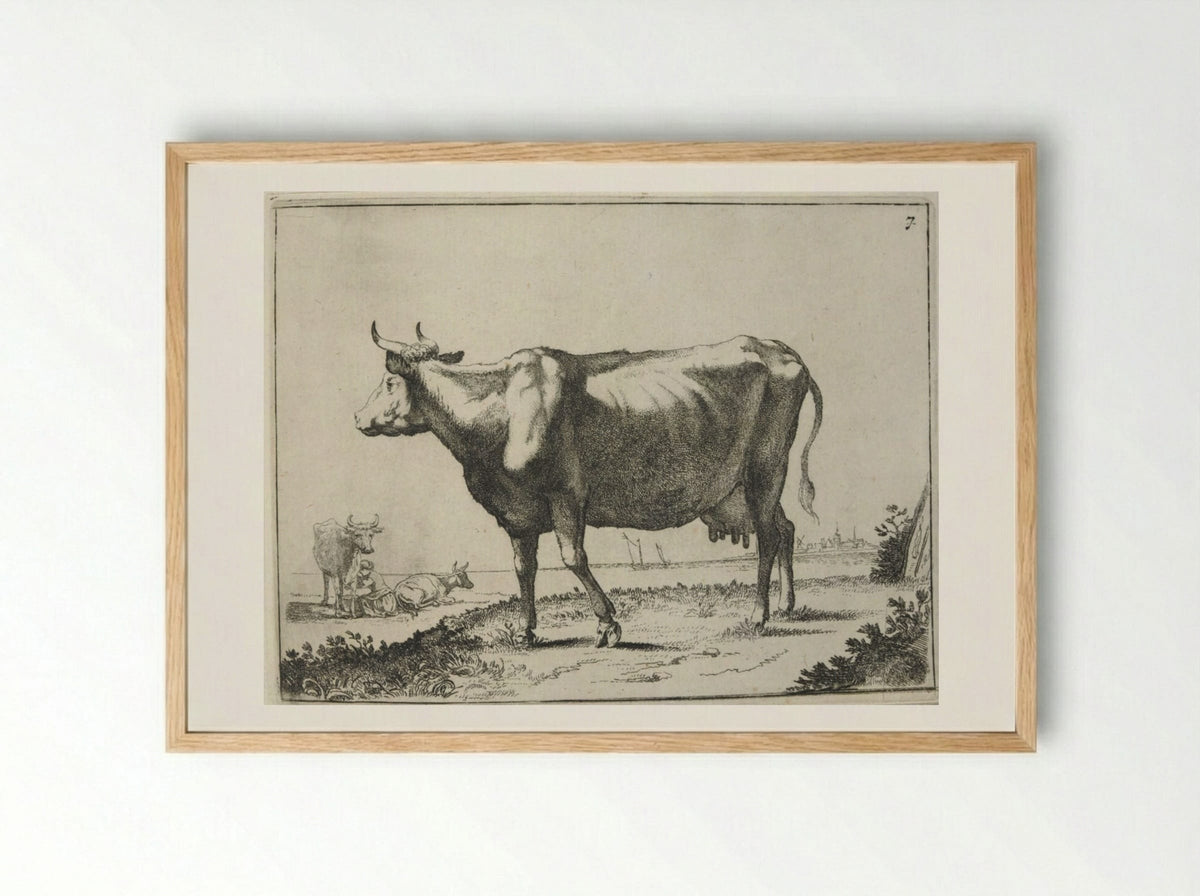 Milk Cow - Paulus Potter - Framed Print Wood