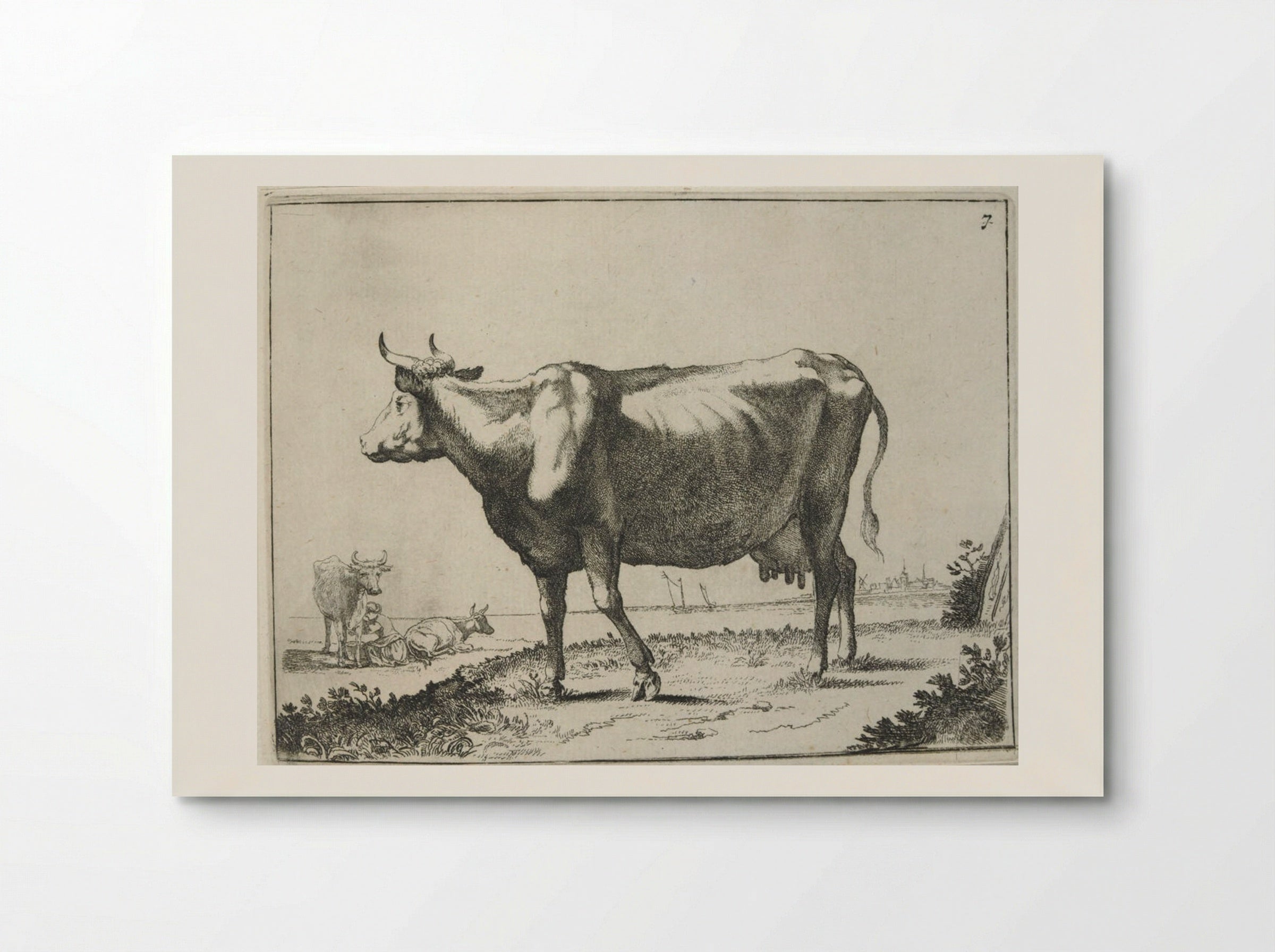 Milk Cow - Paulus Potter - Poster