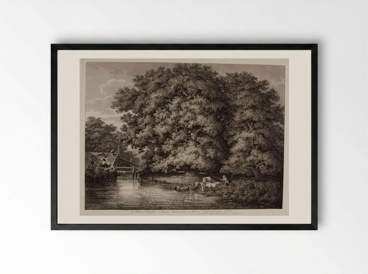 Mill by the Great Oak - Johann Christian Reinhart - Framed Print Black