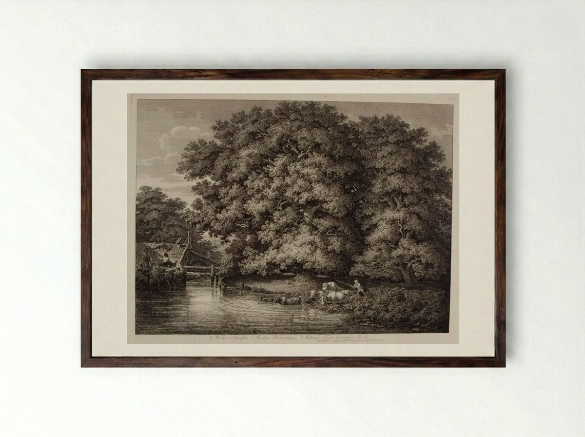 Mill by the Great Oak - Johann Christian Reinhart - Framed Print Dark Wood