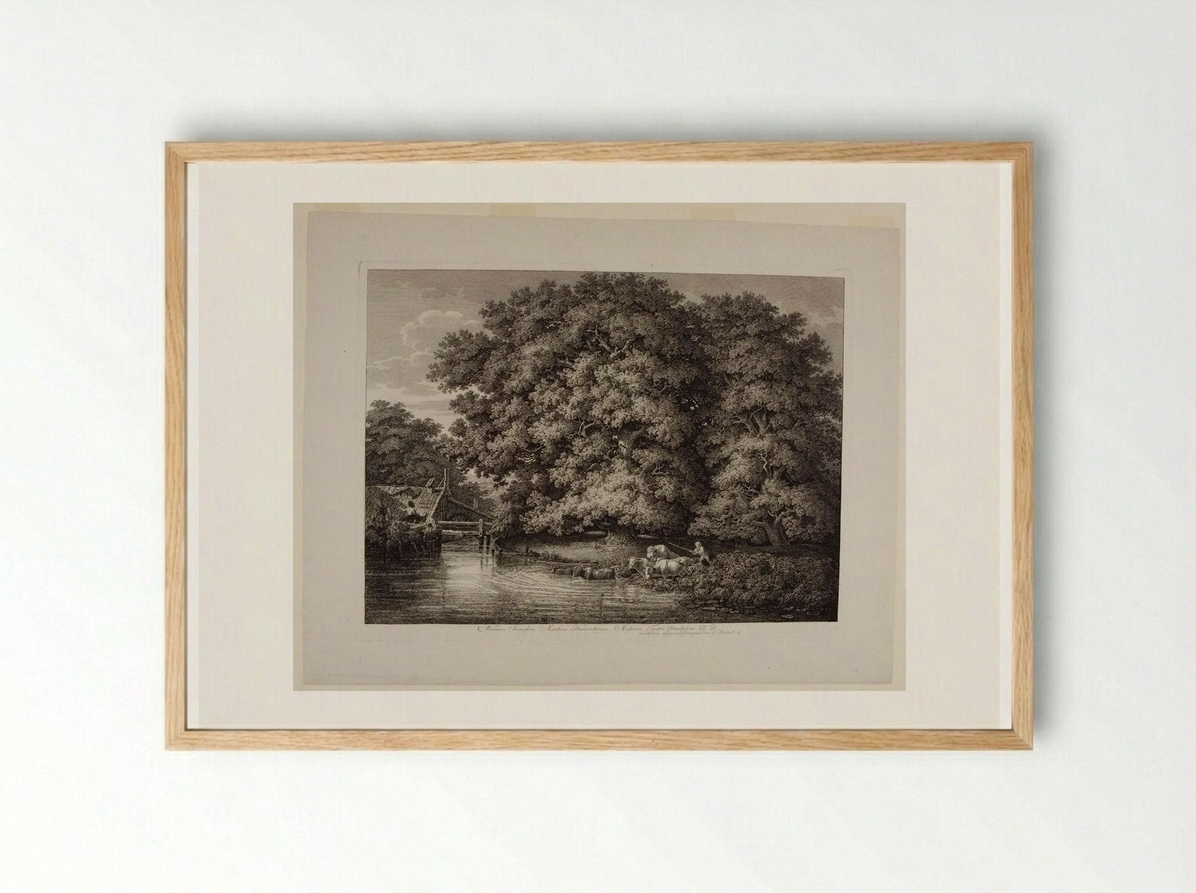 Mill by the Great Oak - Johann Christian Reinhart - Framed Print Wood