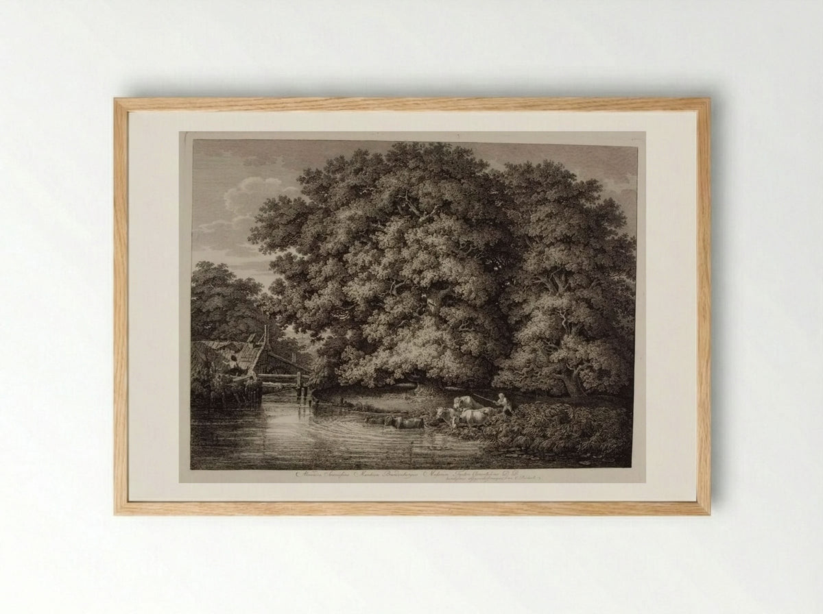 Mill by the Great Oak - Johann Christian Reinhart - Framed Print Wood