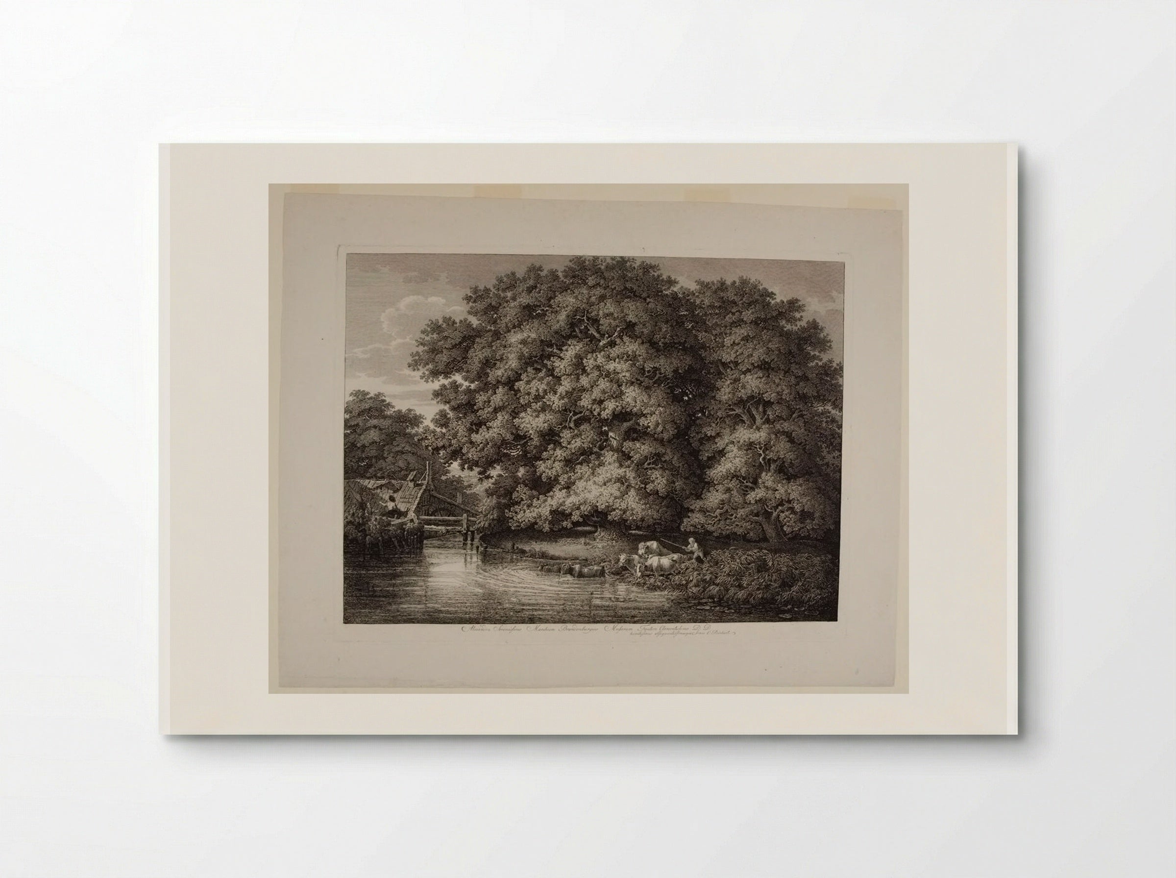 Mill by the Great Oak - Johann Christian Reinhart - Poster