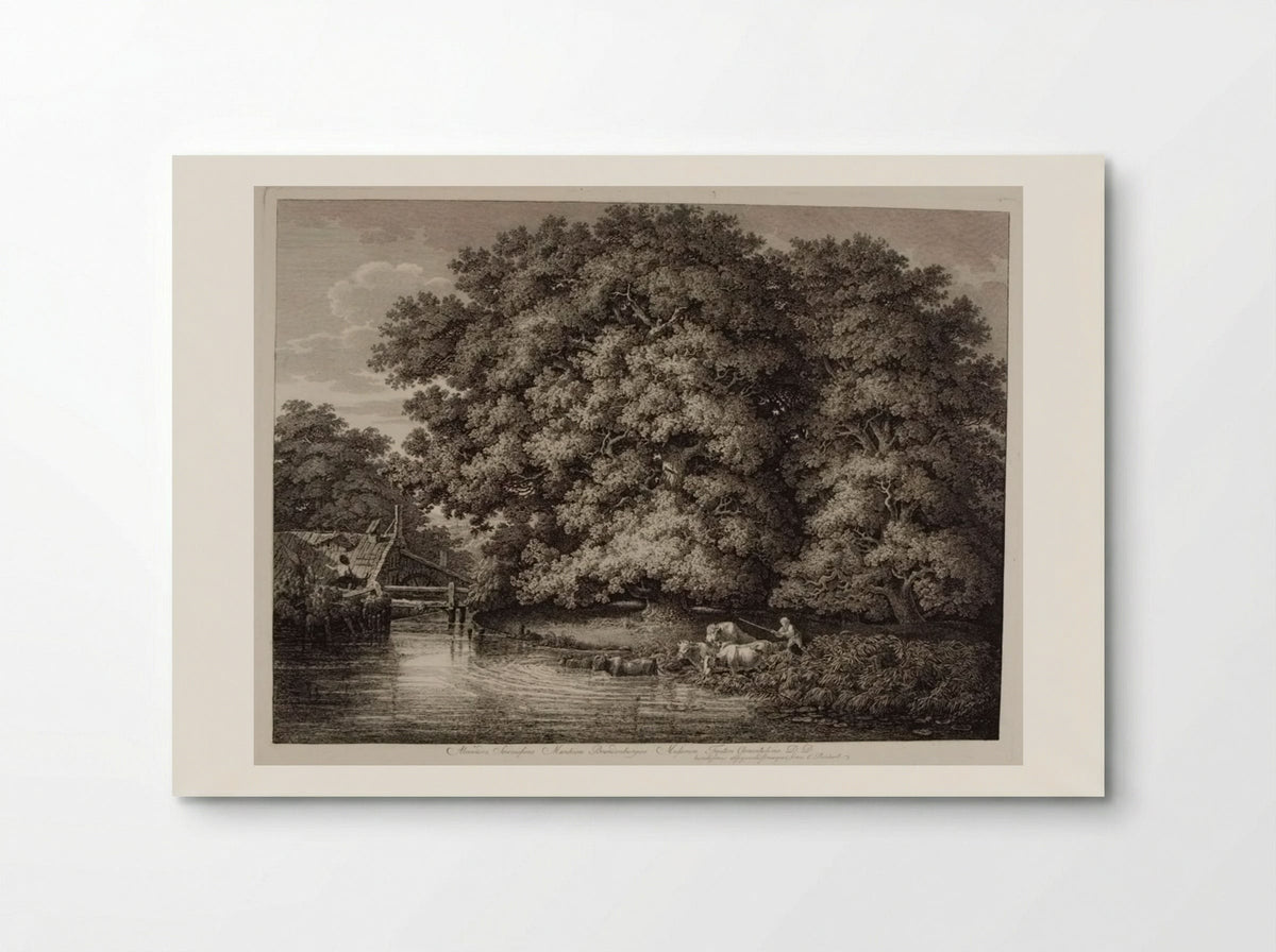 Mill by the Great Oak - Johann Christian Reinhart - Poster