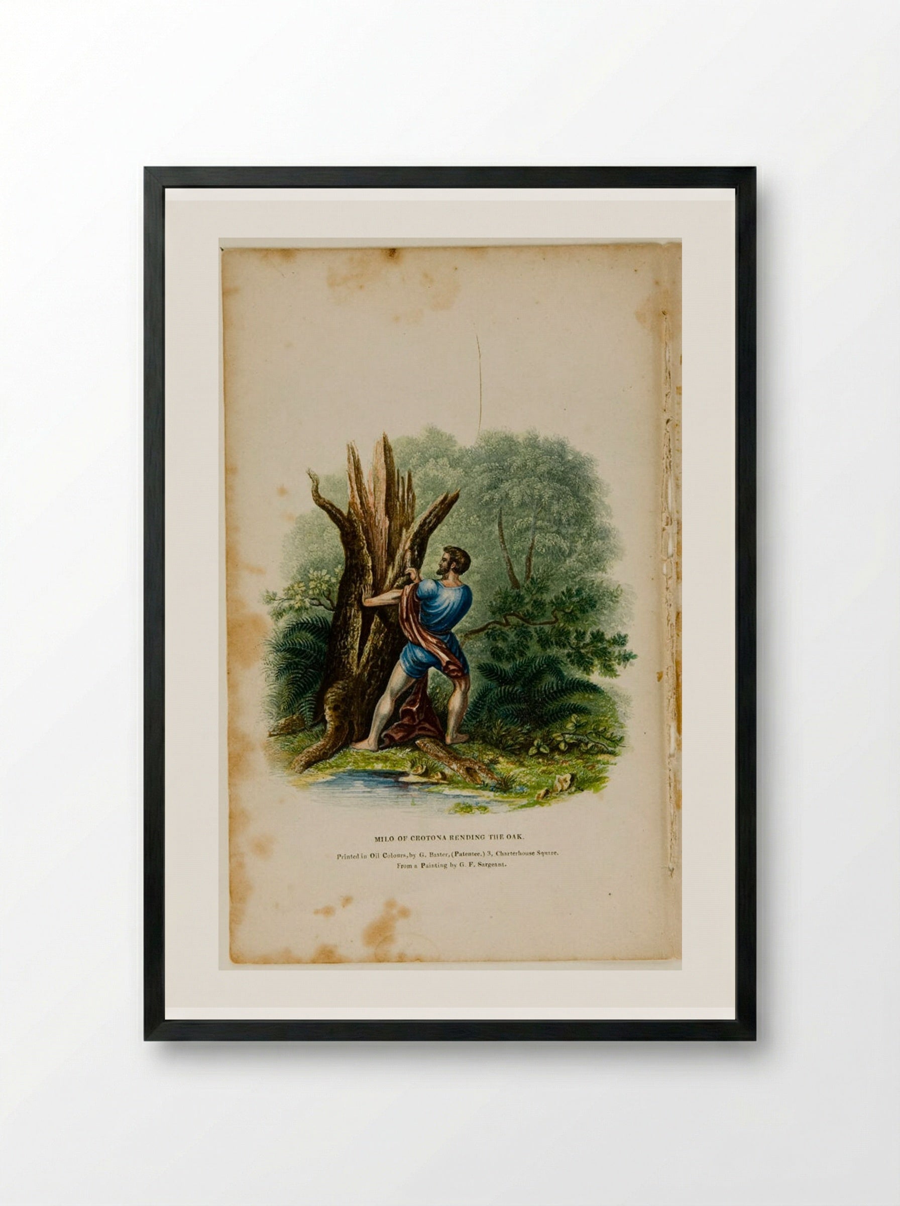 Milo of Crotona Rending the Oak - George Baxter - Framed Print Black