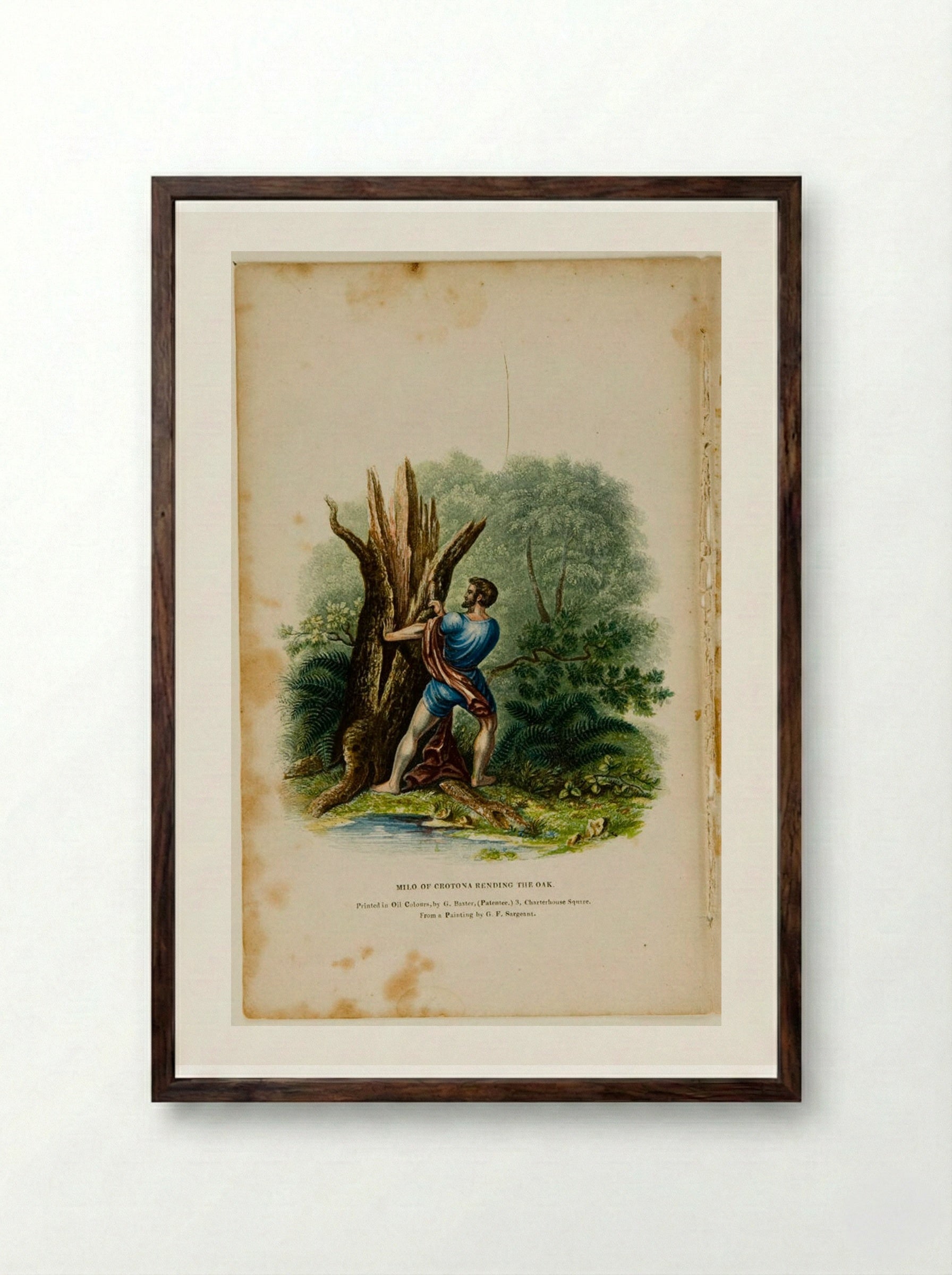 Milo of Crotona Rending the Oak - George Baxter - Framed Print Dark Wood