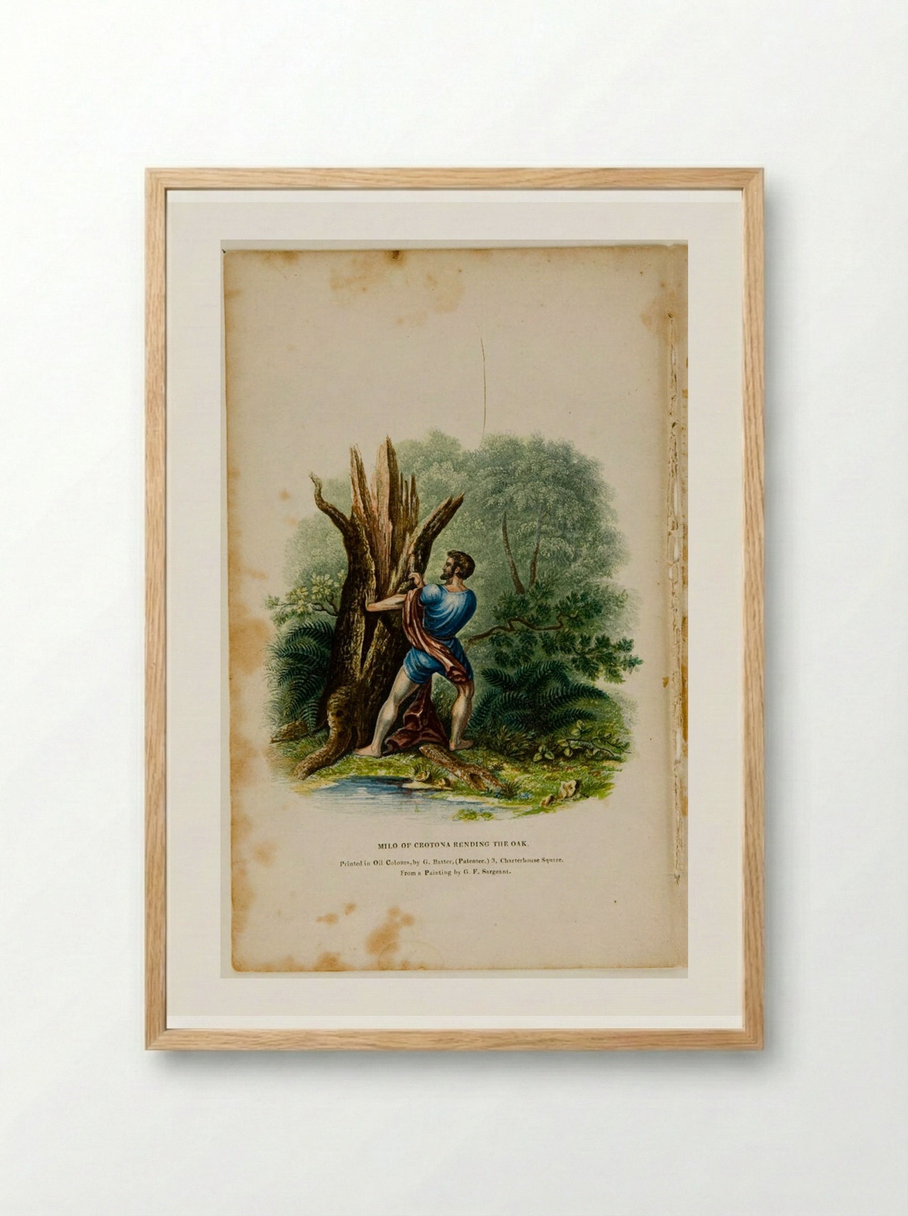 Milo of Crotona Rending the Oak - George Baxter - Framed Print Wood