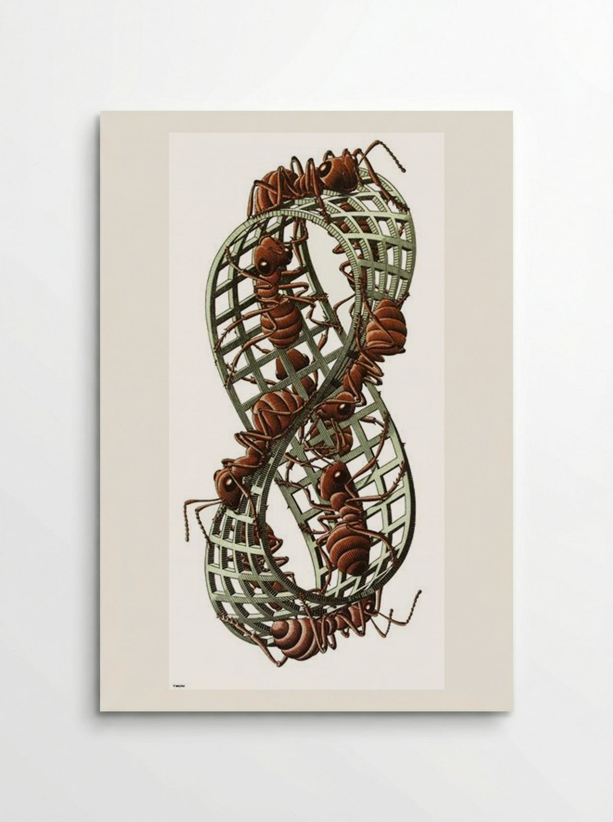 Moebius Strip II - M.C. Escher - Poster