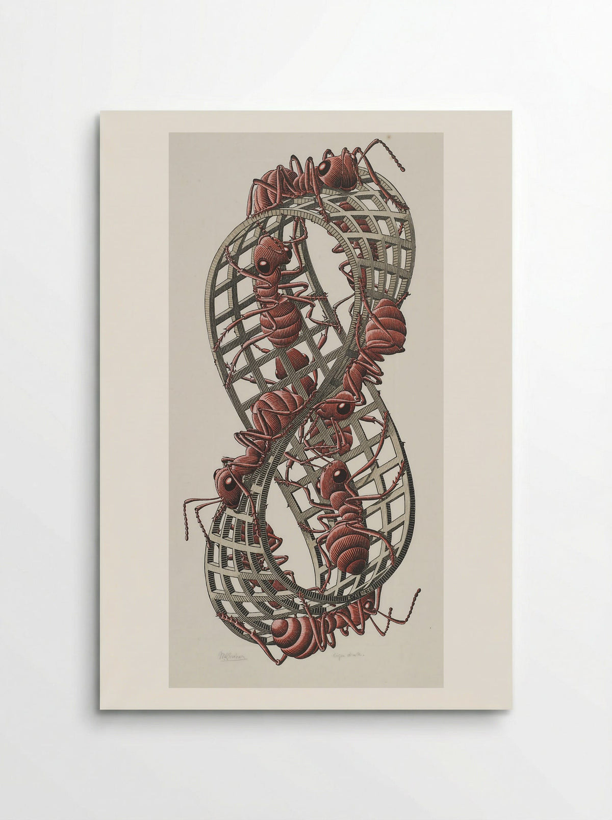 Moebius Strip II - M.C. Escher - Poster