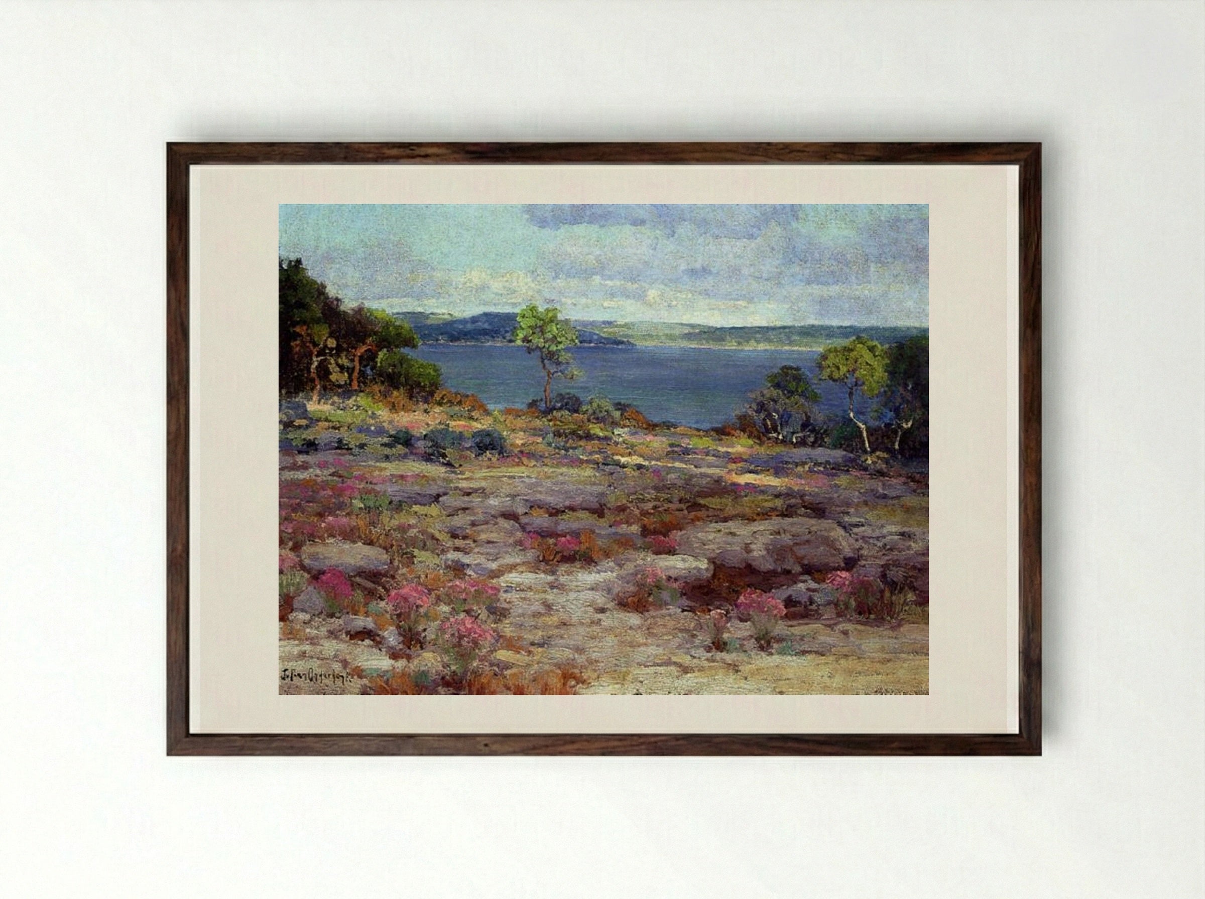 Mountain Pinks in Bloom, Medina Lake, Southwest Texas - Robert Julian Onderdonk - Framed Print Dark Wood
