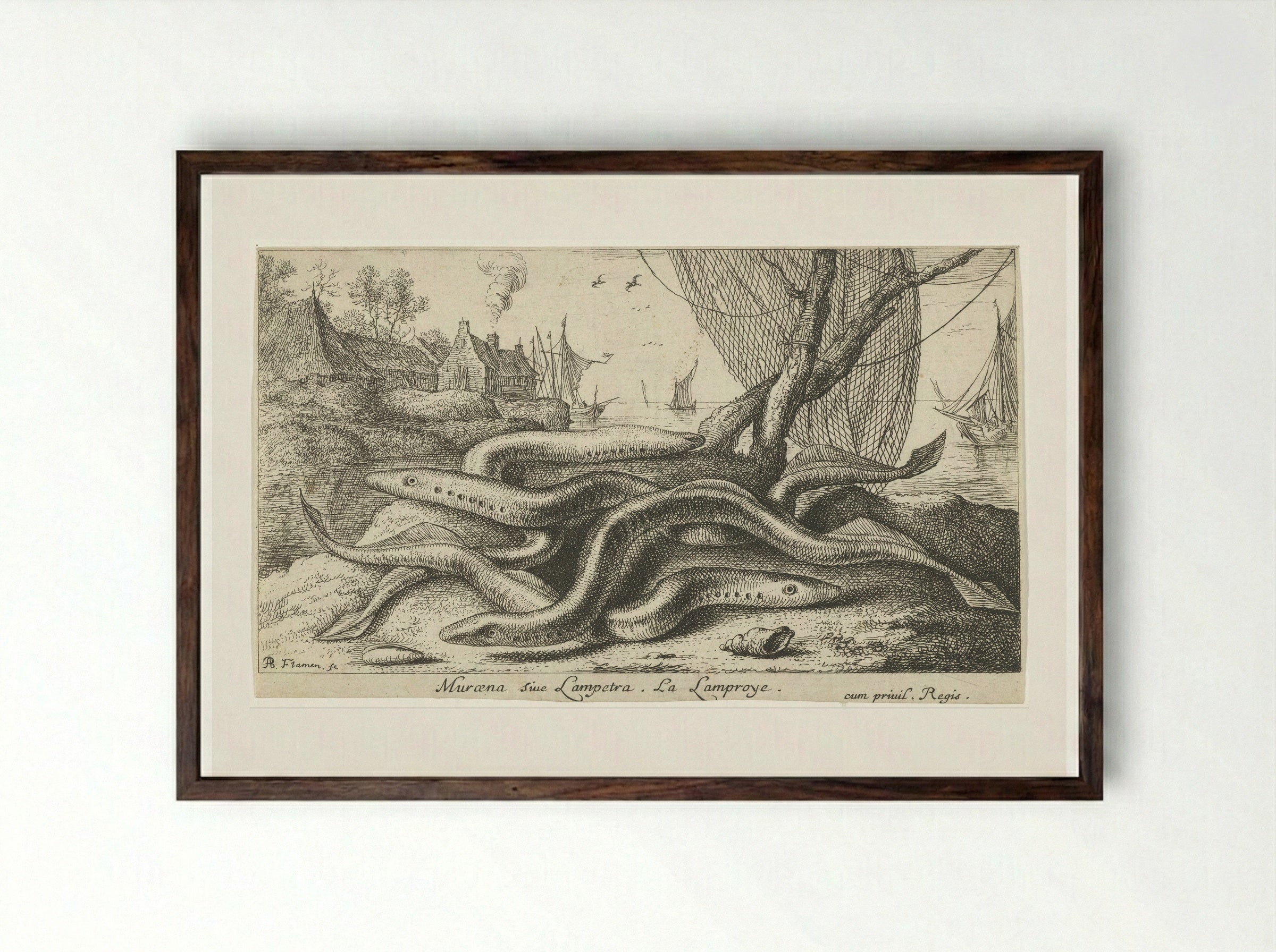 Muræna sive Lampetra (Lampreys on a Riverbank) - Albert Flamen - Framed Print Dark Wood