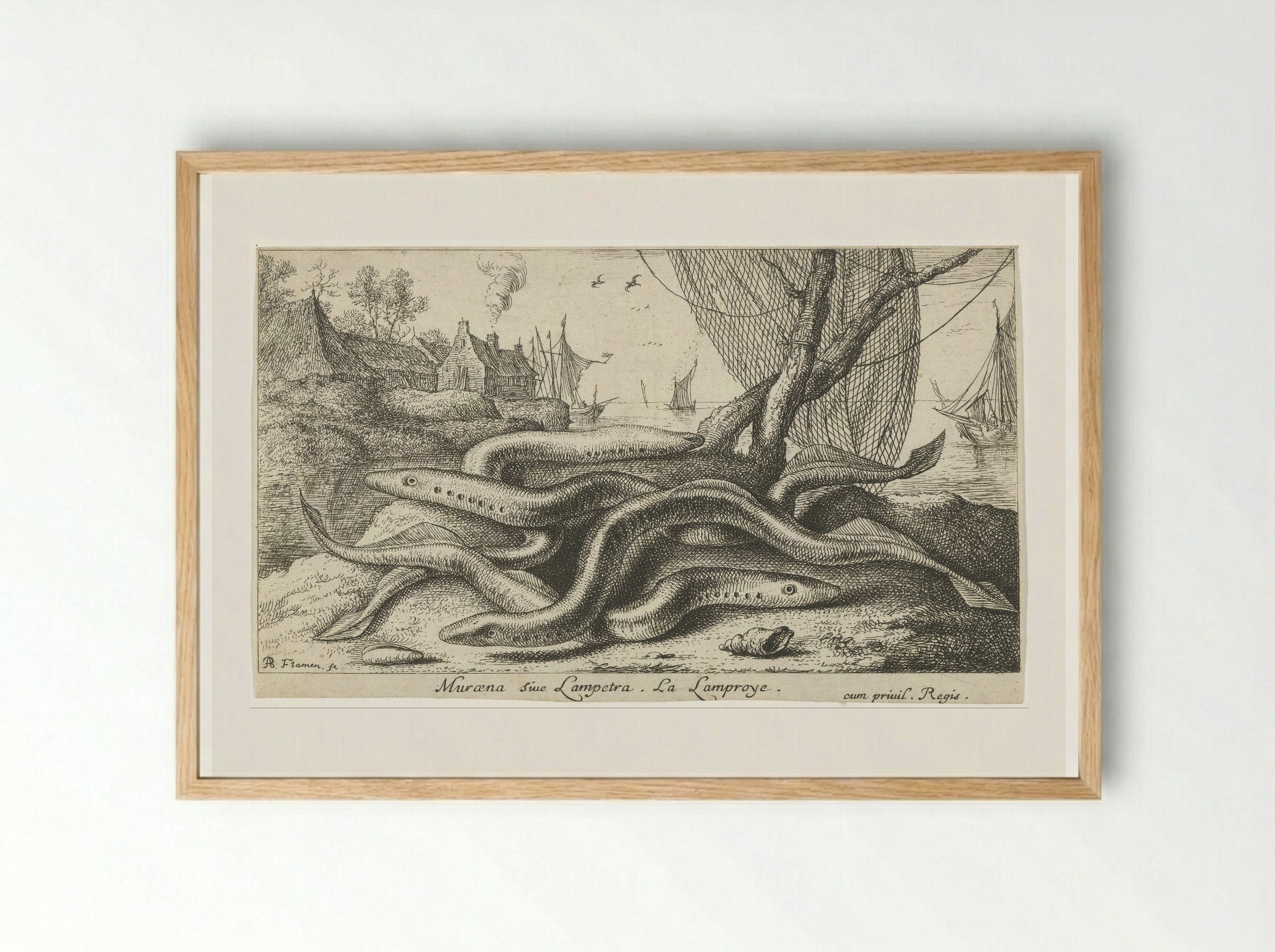 Muræna sive Lampetra (Lampreys on a Riverbank) - Albert Flamen - Framed Print Wood