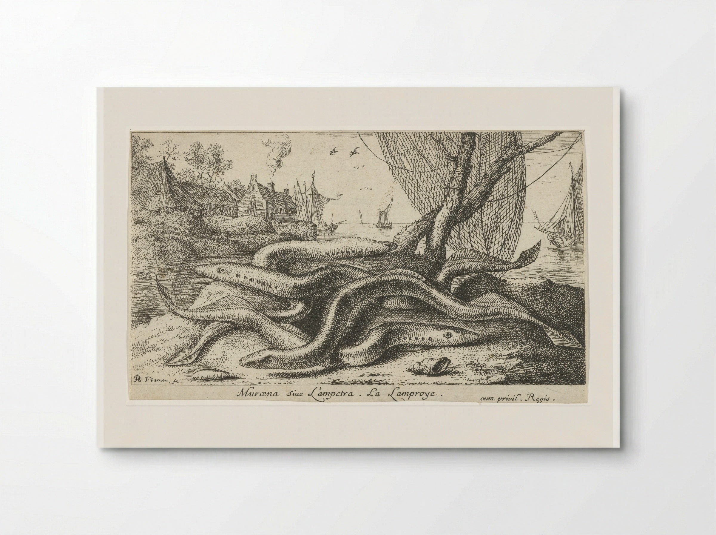Muræna sive Lampetra (Lampreys on a Riverbank) - Albert Flamen - Poster