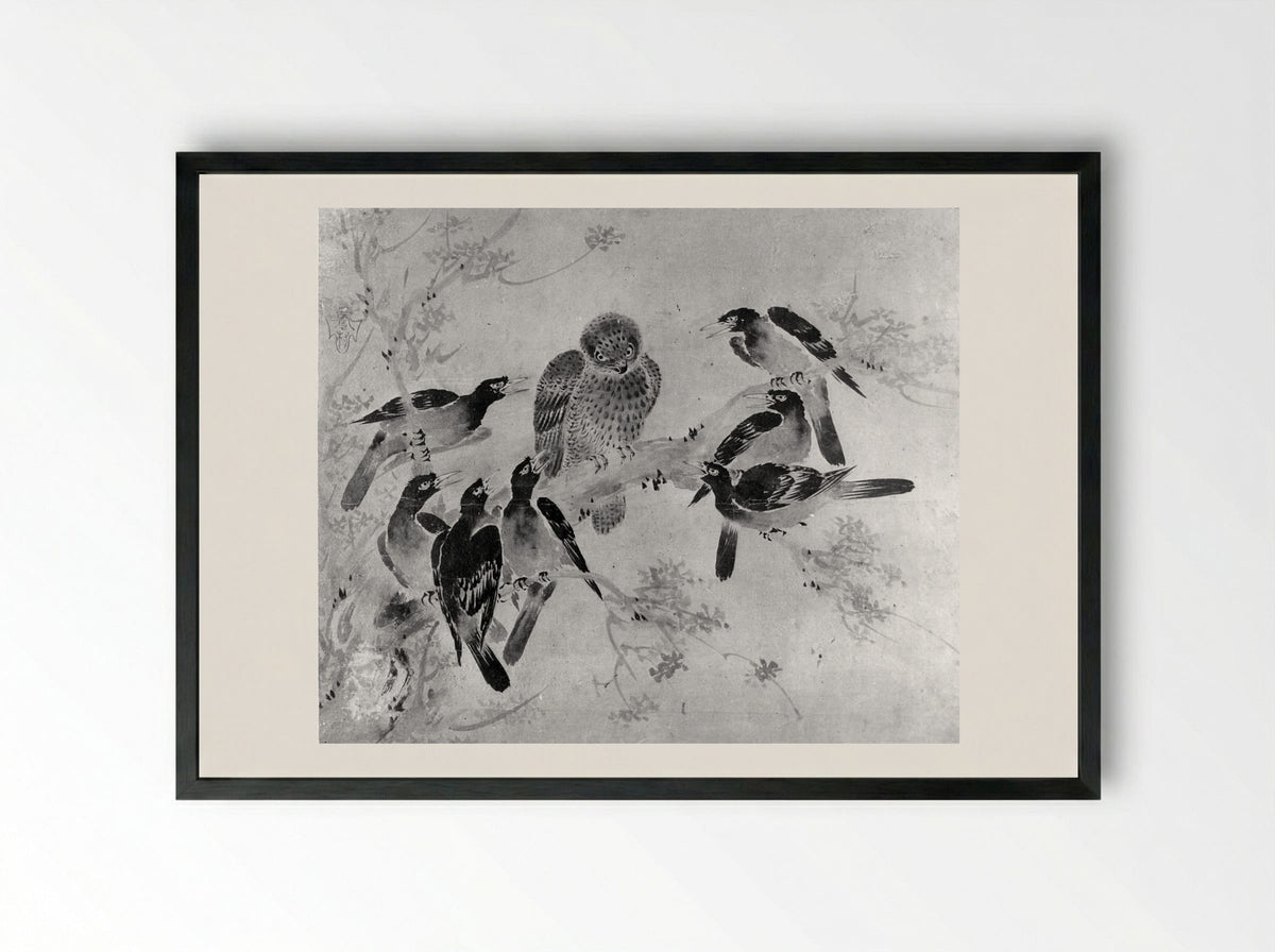 Mynah Birds Attacking an Owl - Sesson Shūkei - Framed Print Black
