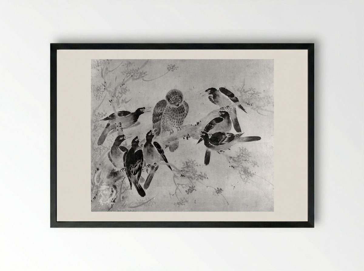 Mynah Birds Attacking an Owl - Sesson Shūkei - Framed Print Black