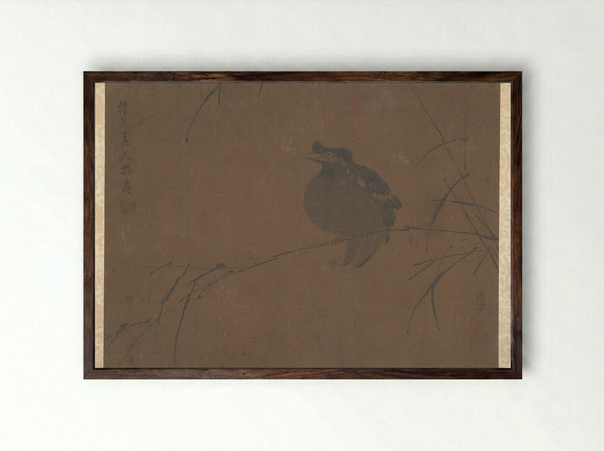 Mynah on Reed - Fulan Taorên - Framed Print Dark Wood