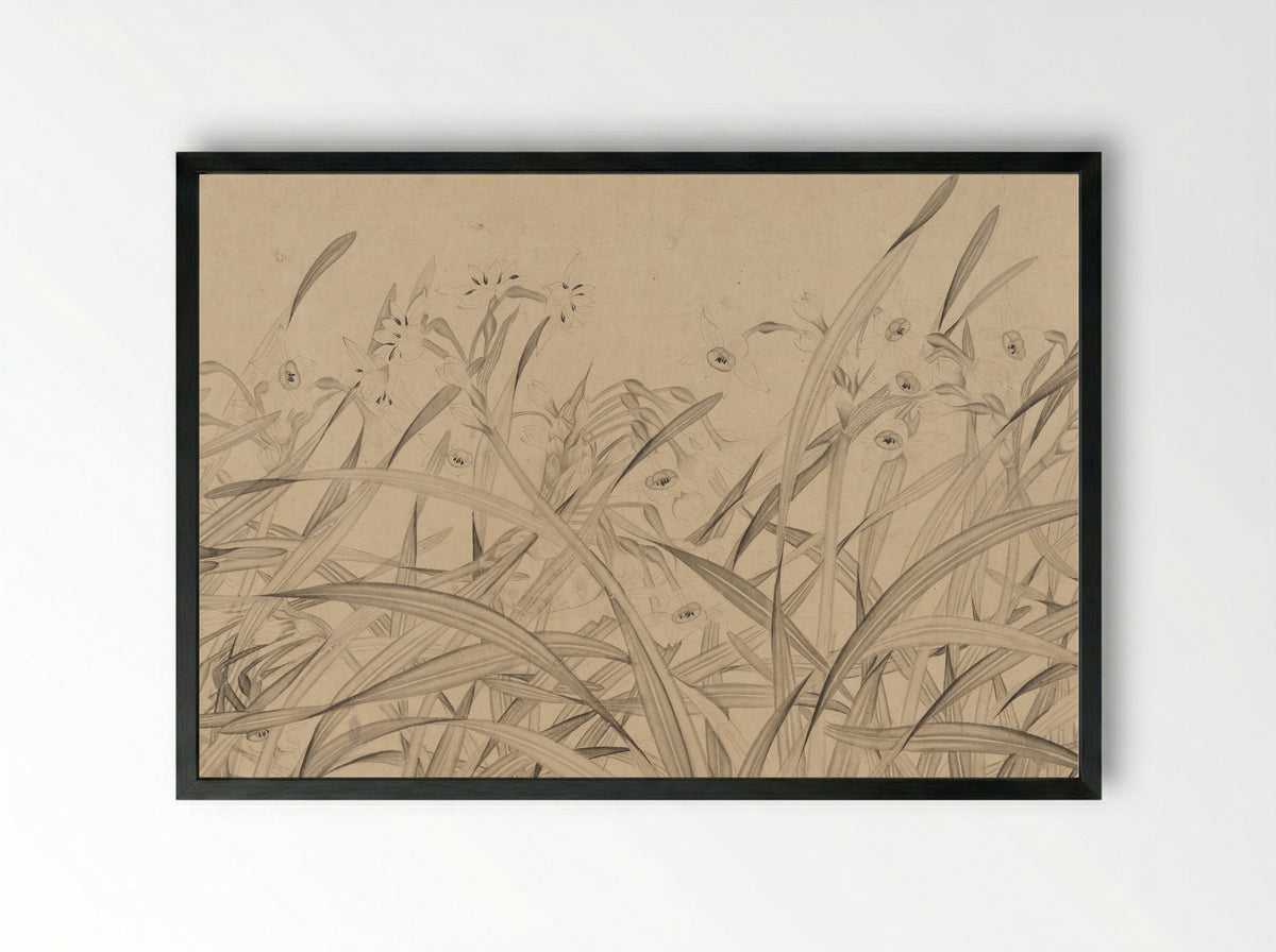 Narcissus - Zhao Mengjian - Framed Print Black