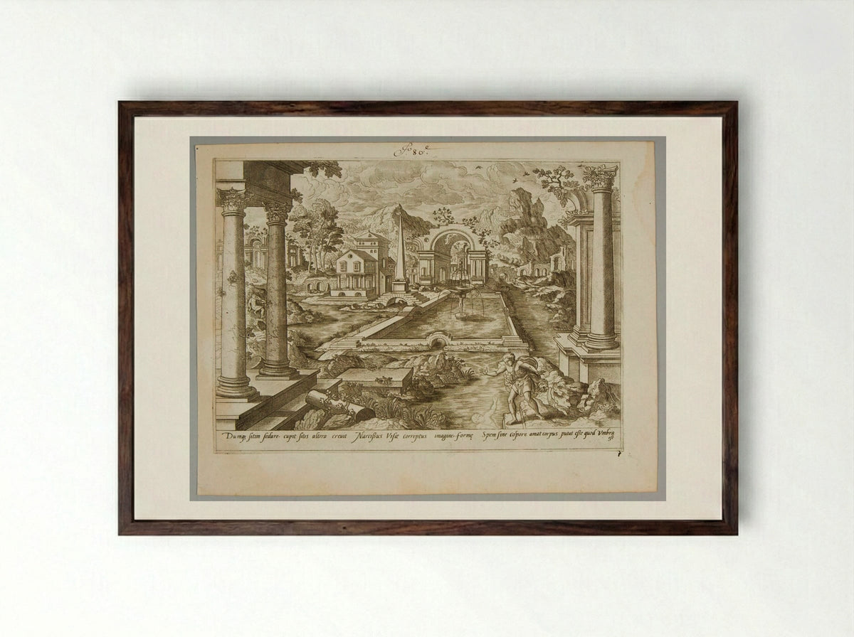 Narcissus - Gerard de Jode - Framed Print Dark Wood