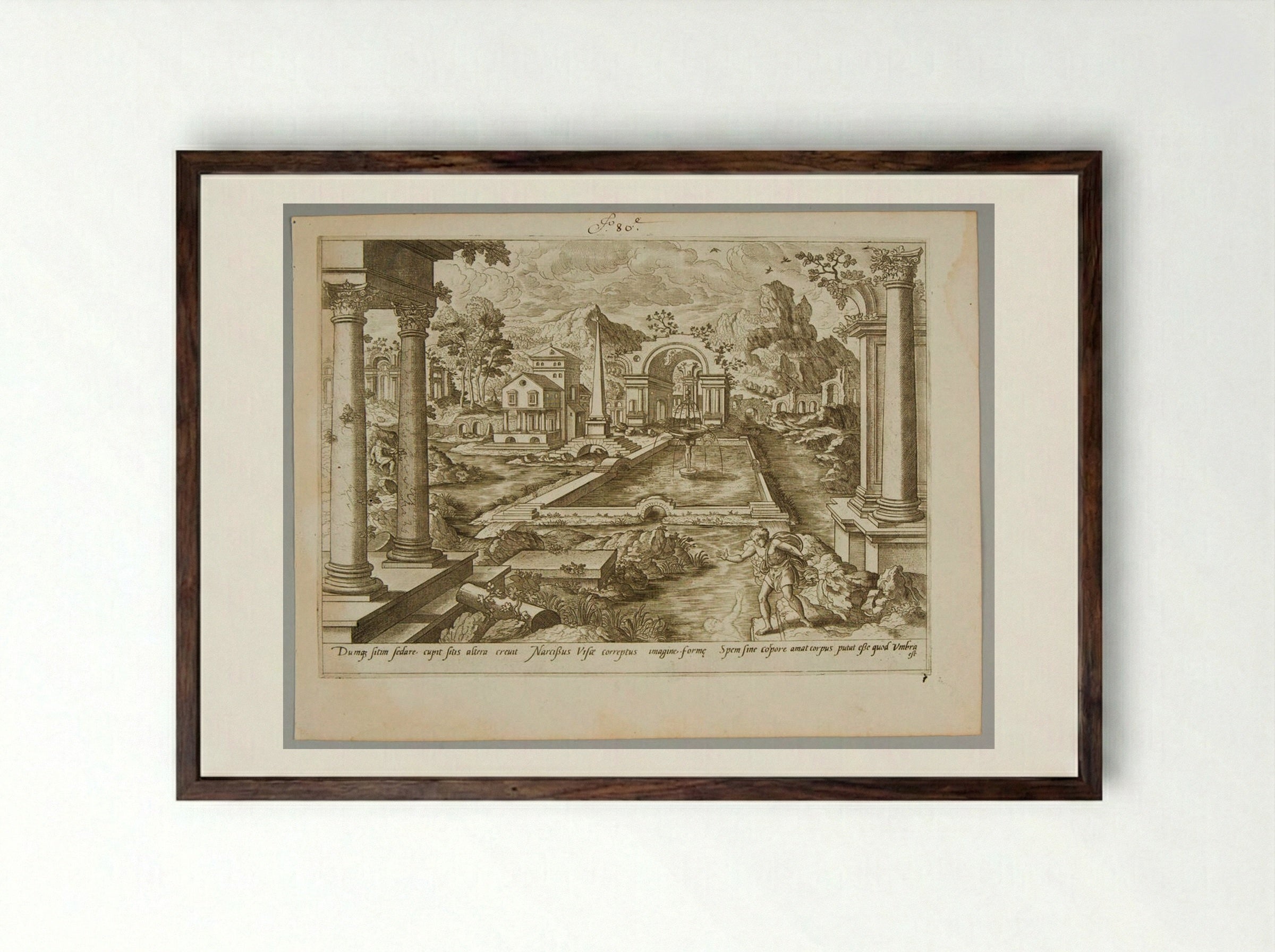 Narcissus - Gerard de Jode - Framed Print Dark Wood