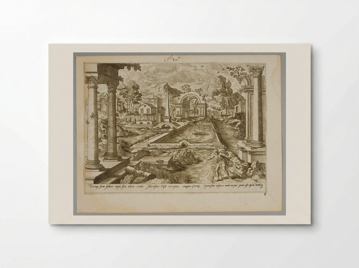 Narcissus - Gerard de Jode - Poster