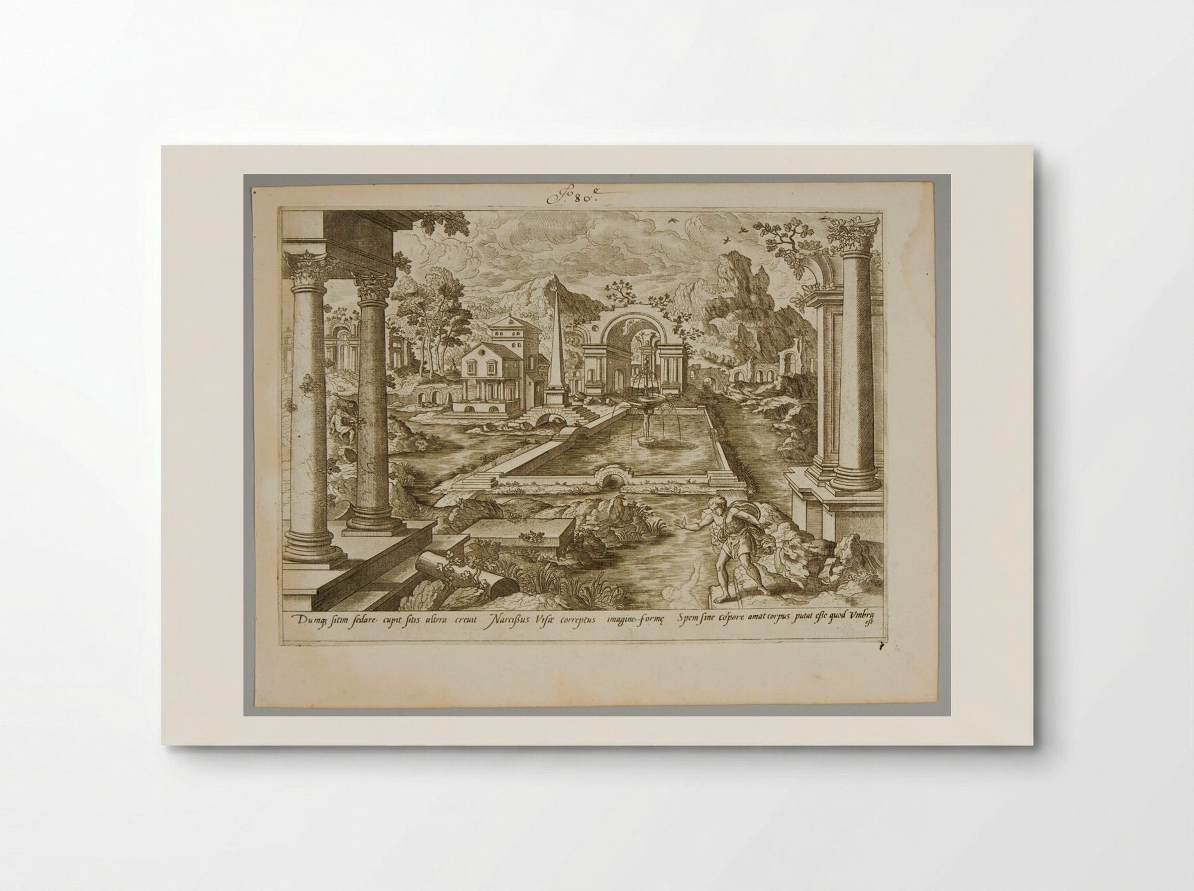 Narcissus - Gerard de Jode - Poster