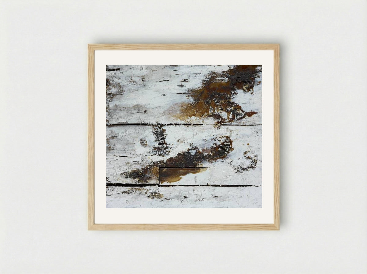 Natural History - Joseph Beuys - Framed Print Wood