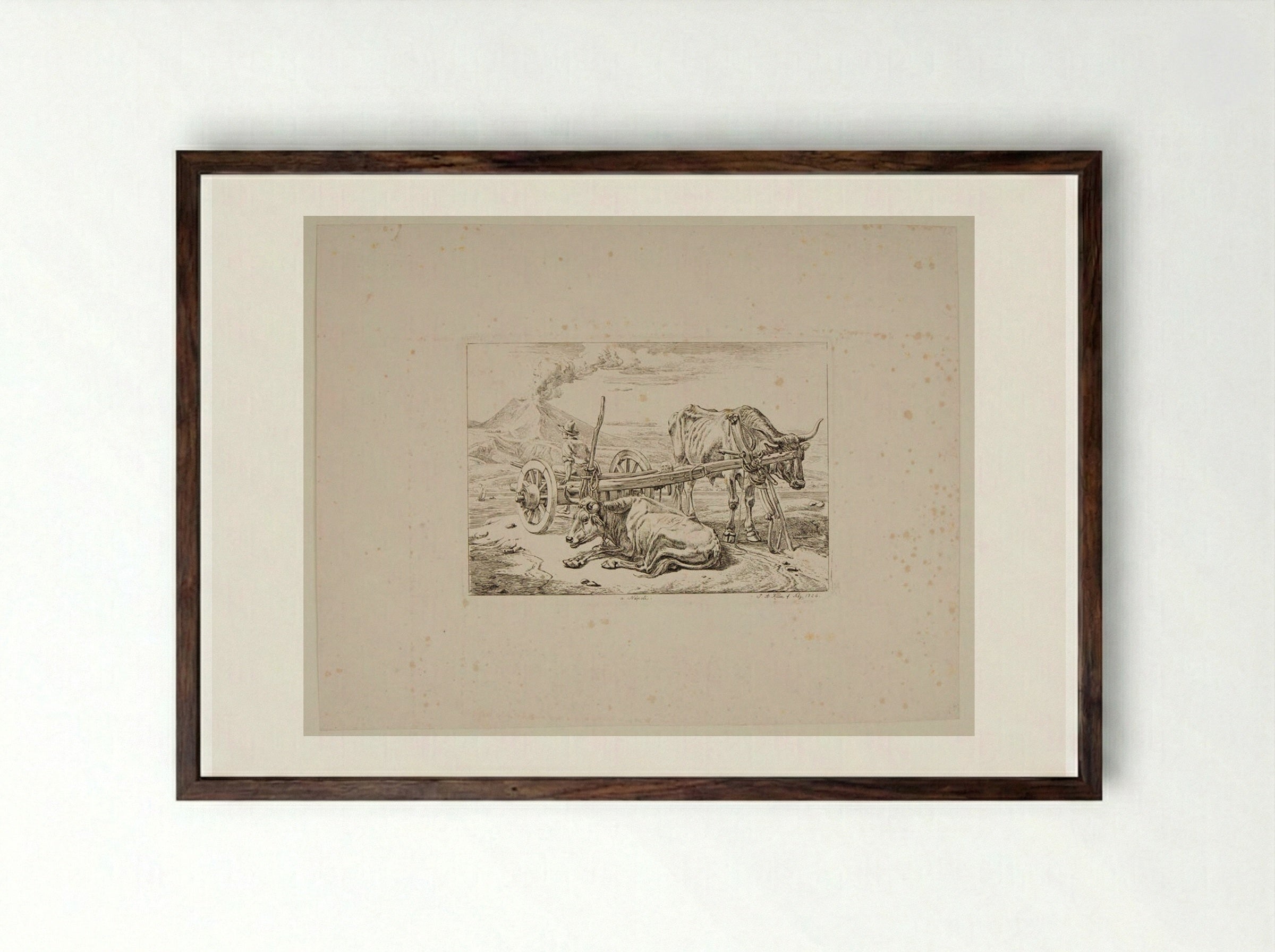 Neapolitan Ox-Cart - Johann Adam Klein - Framed Print Dark Wood