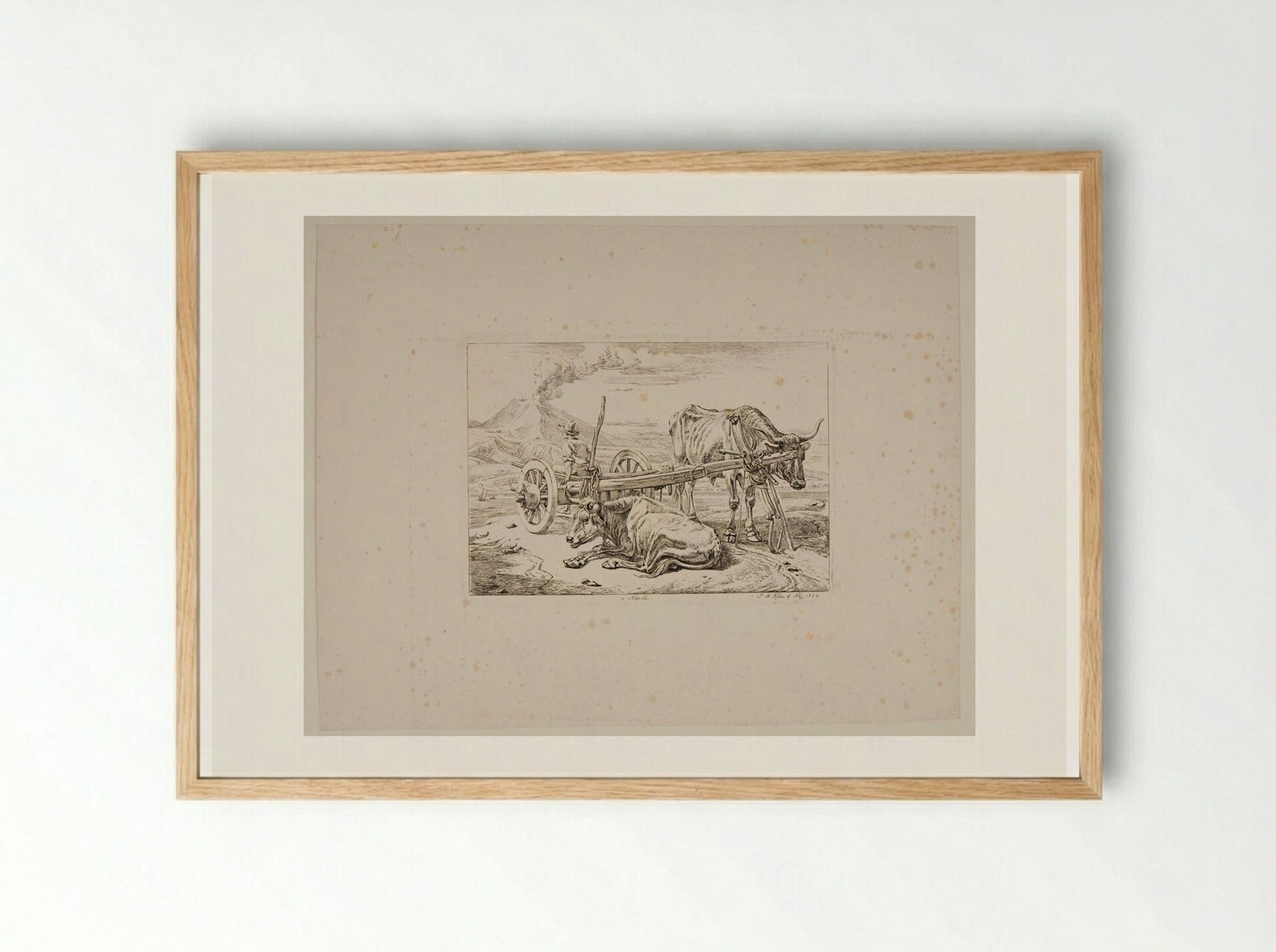 Neapolitan Ox-Cart - Johann Adam Klein - Framed Print Wood