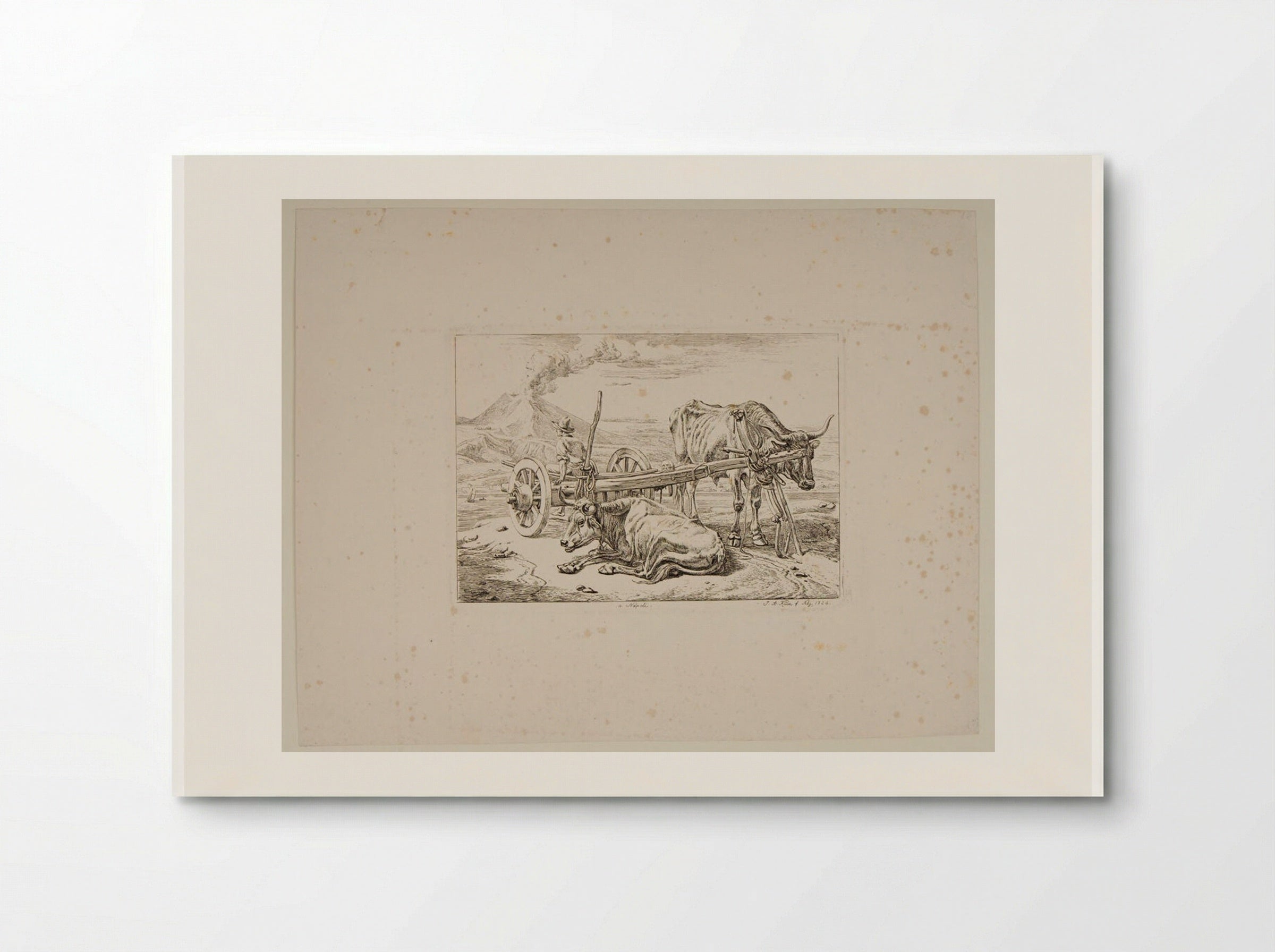 Neapolitan Ox-Cart - Johann Adam Klein - Poster