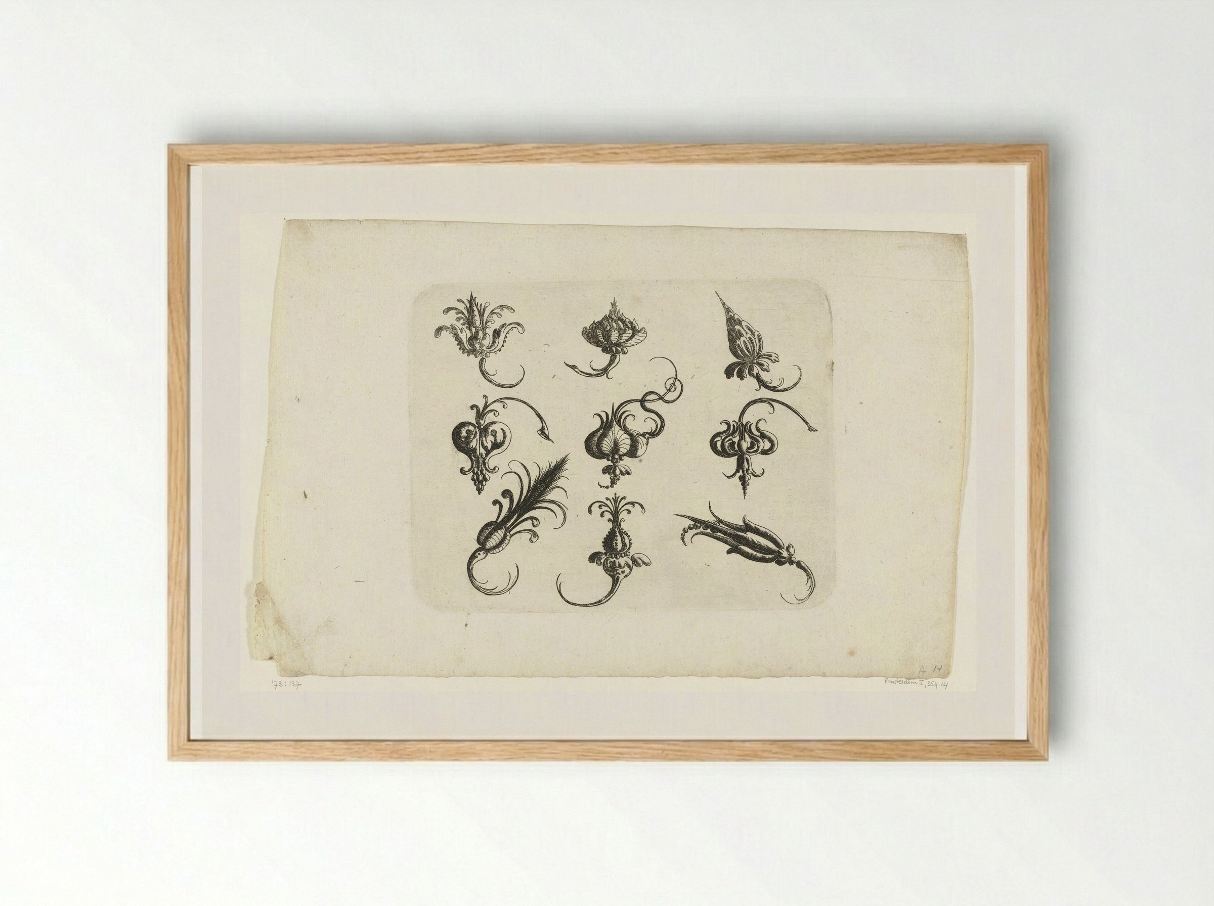 Negen fantasie-bloemen en vruchten - Christoph Jamnitzer - Framed Print Wood