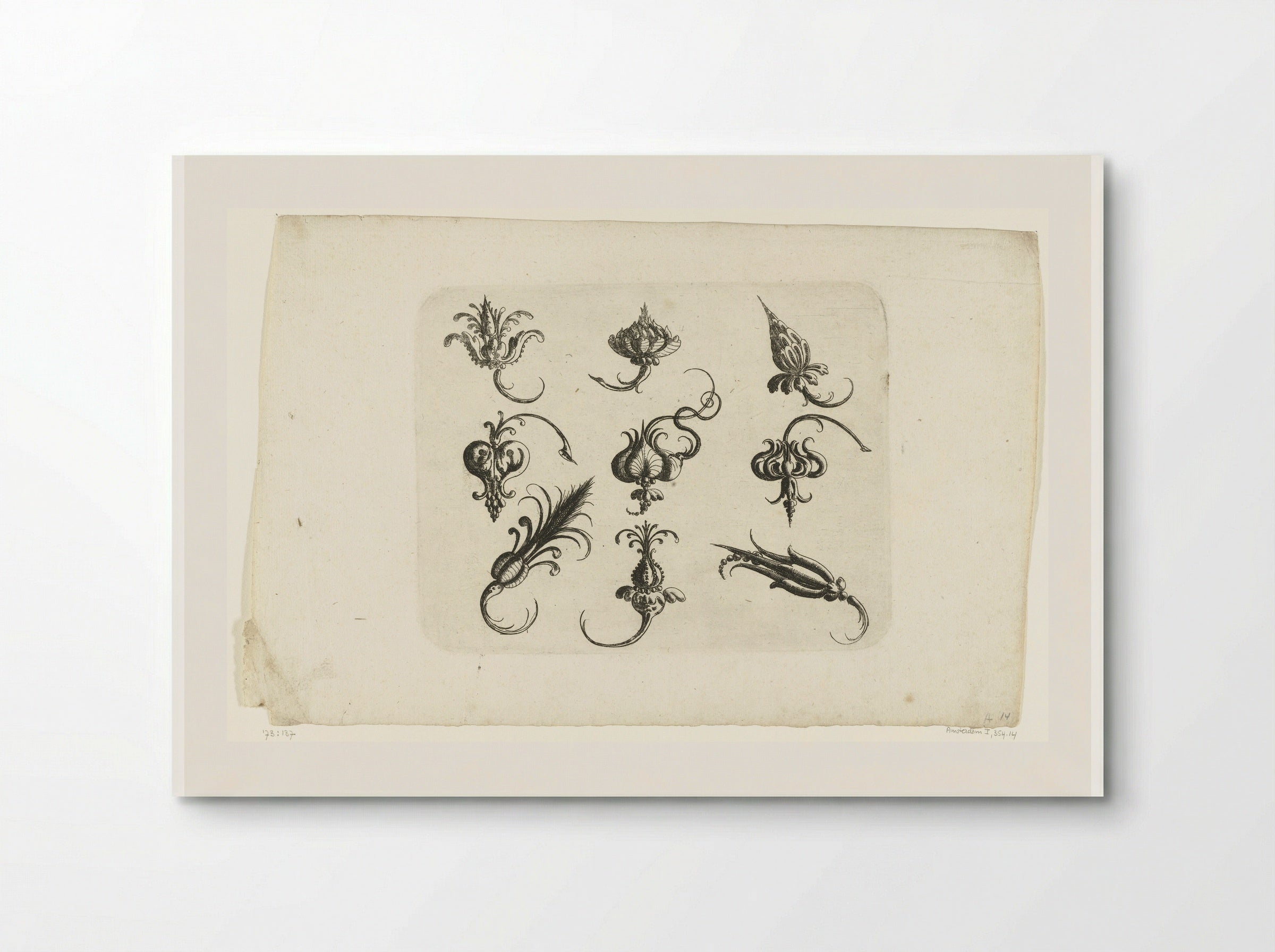 Negen fantasie-bloemen en vruchten - Christoph Jamnitzer - Poster