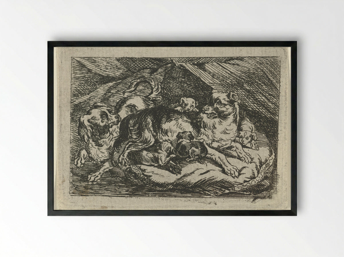 Nest met jonge hondjes - Tethart Philip Christian Haag - Framed Print Black